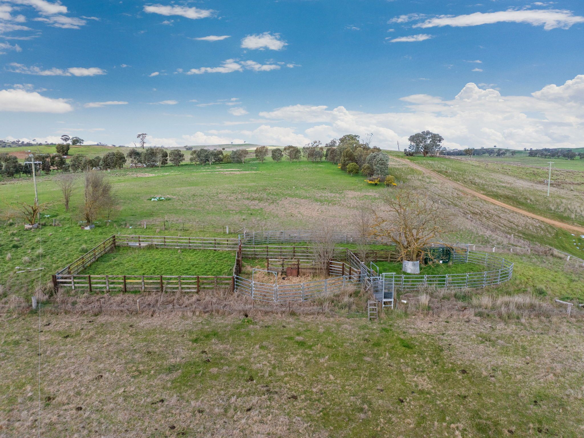 "Reynoldsdale", 1056 Lachlan Valley Way — photo 17 of 30