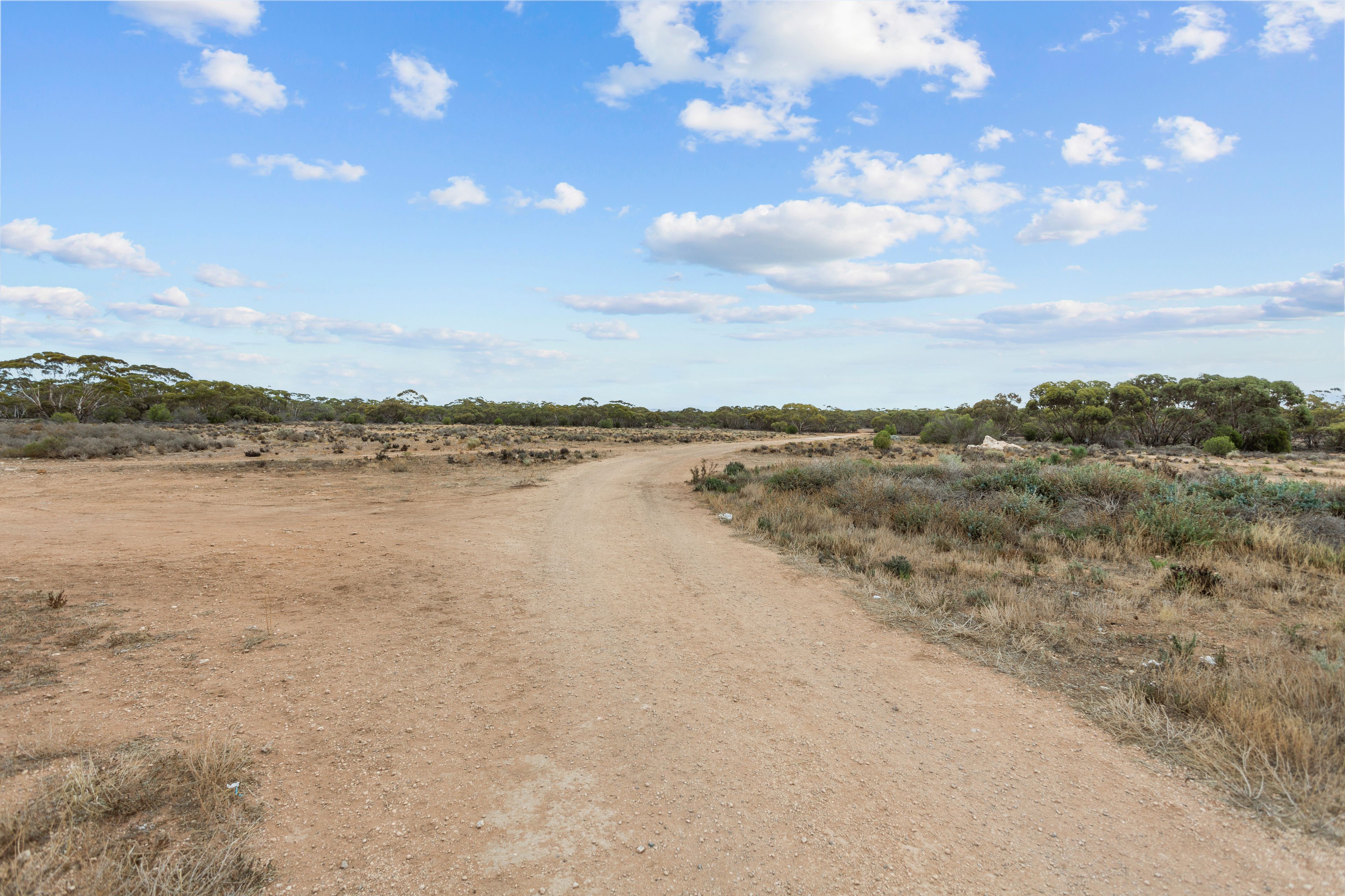 196 Howard Road, Steinfeld, SA 5356