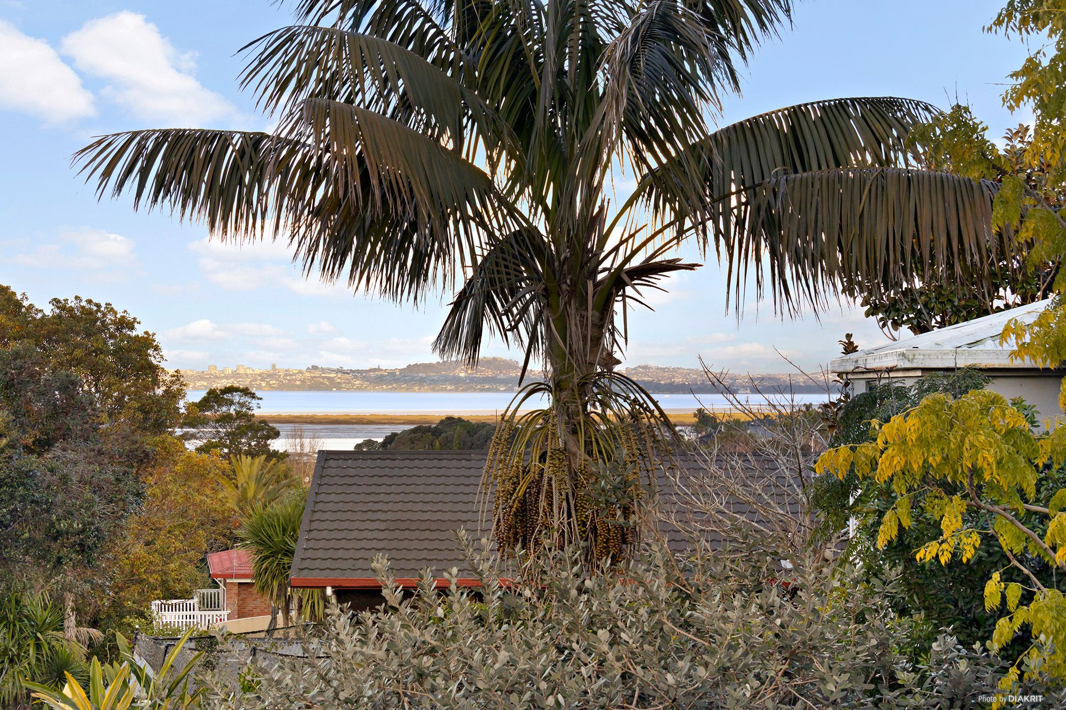 22 Marina View Drive, West Harbour, Waitakere City