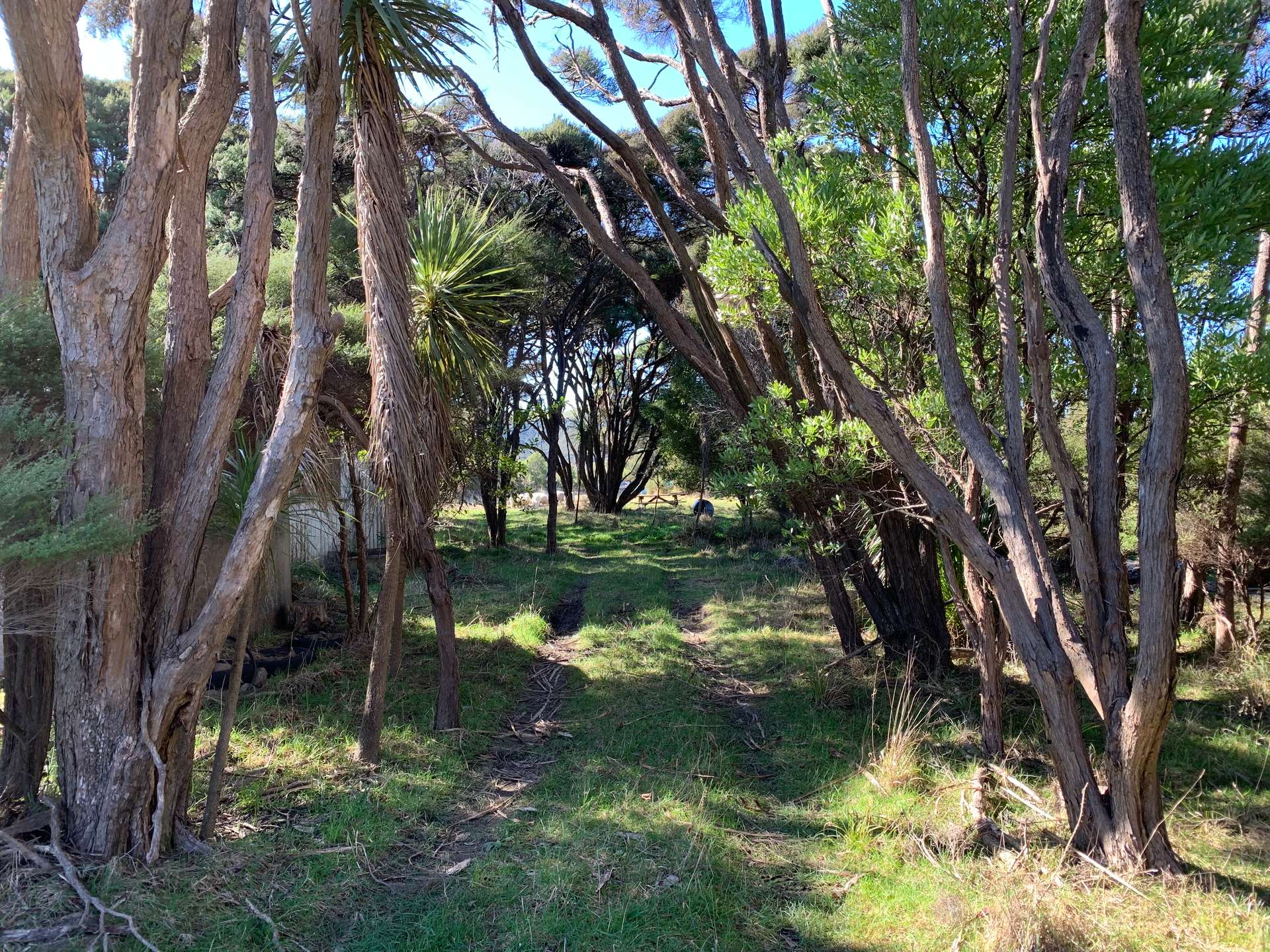 172 Wharariki Road photo 2