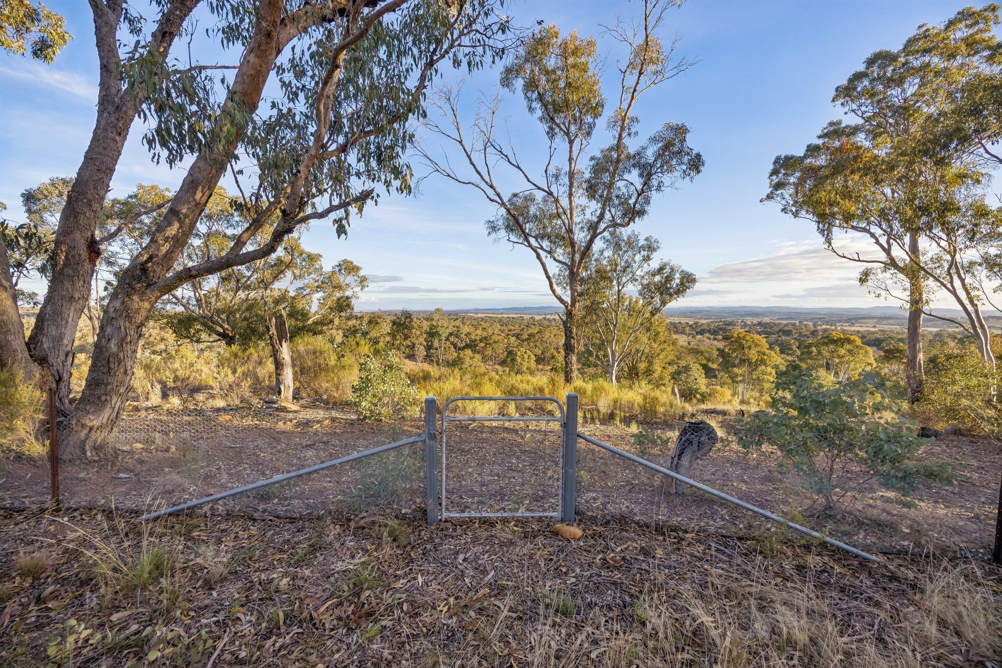 "Carolyn's Creek", 5388 Gundaroo Road — photo 13 of 22