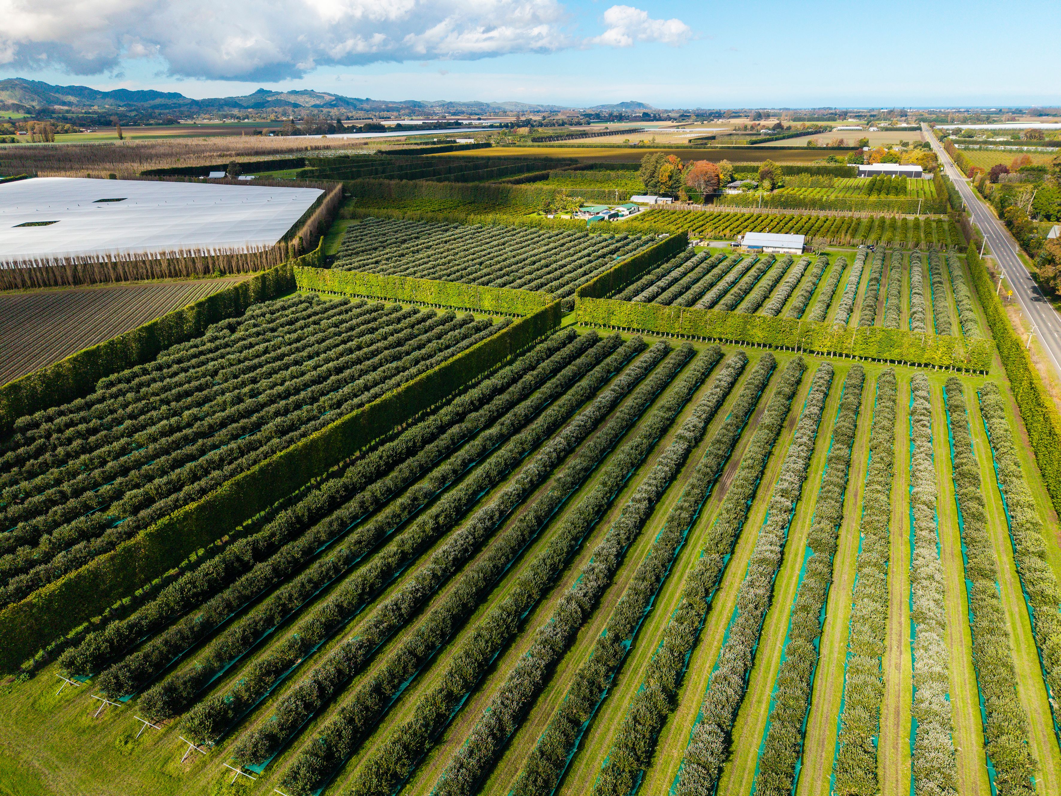 590 Matawai Road, Waerengaahika, Gisborne District