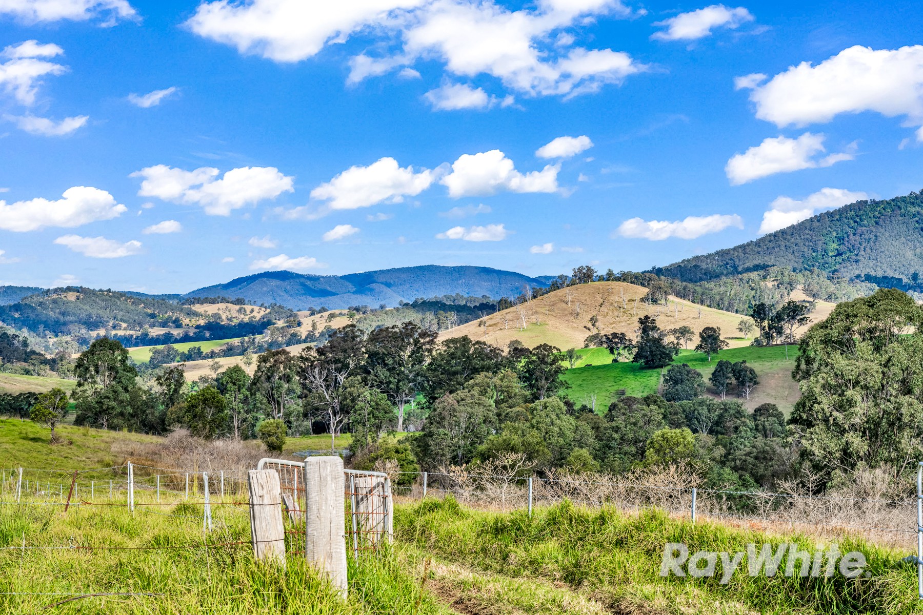 318 Scone Road, Gloucester, NSW 2422