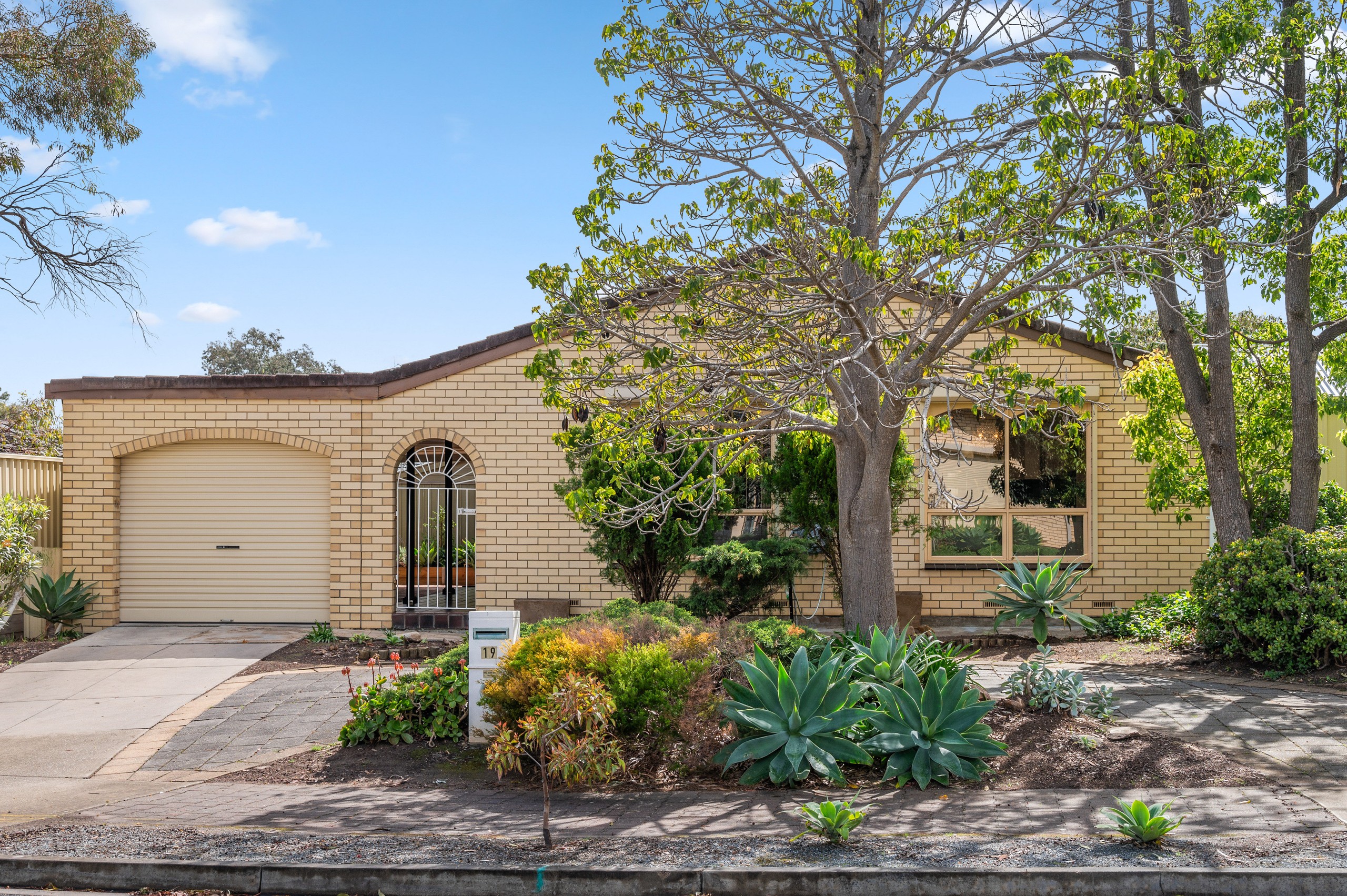 19 Richland Road, Newton, SA 5074