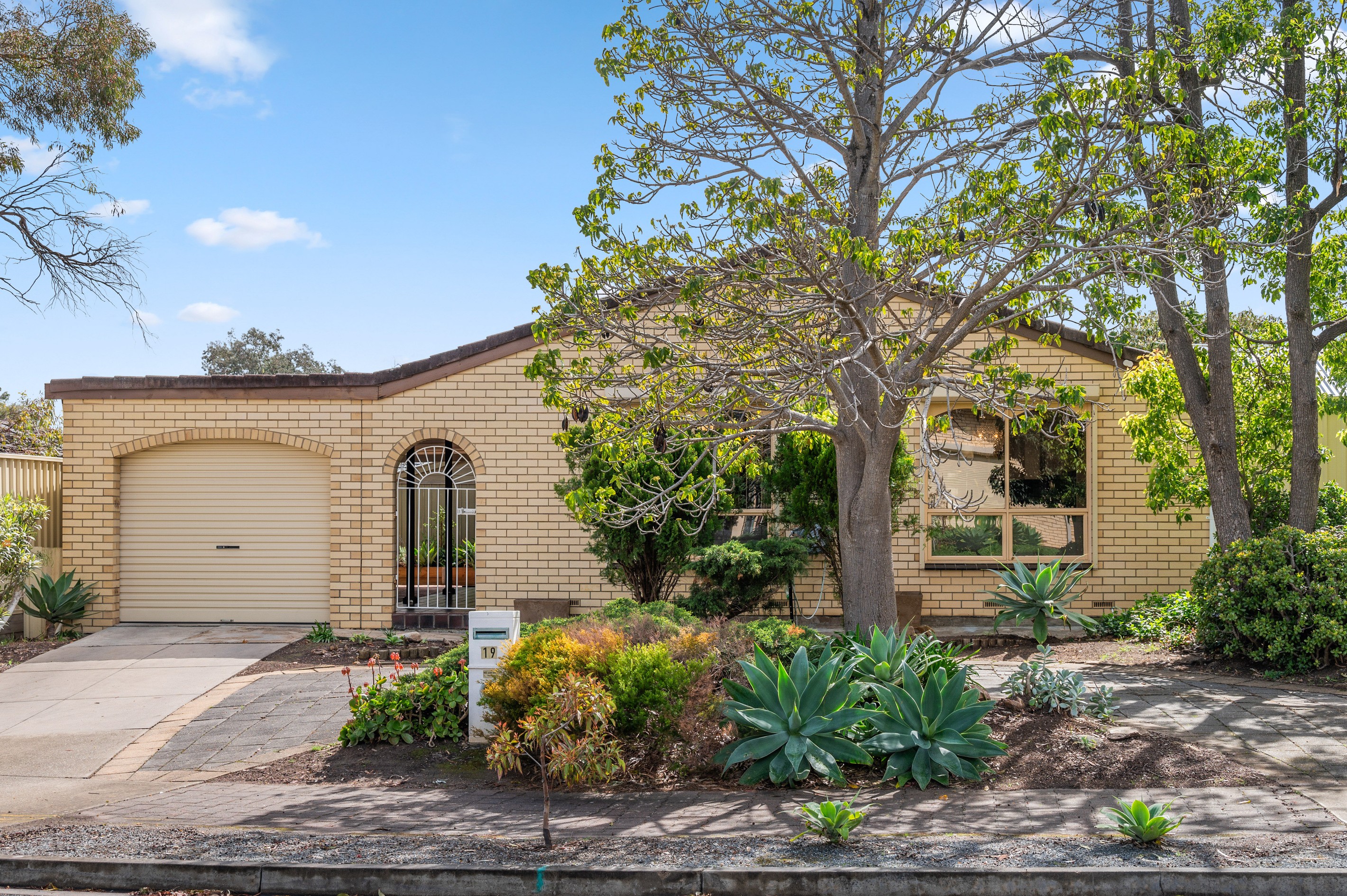 19 Richland Road, Newton, SA 5074