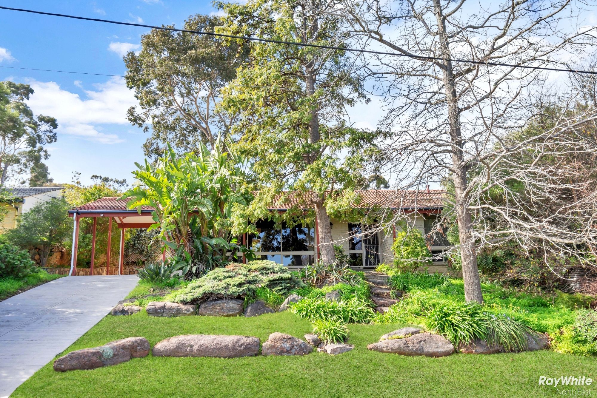 3 Grevillea Drive, Banksia Park SA 5091