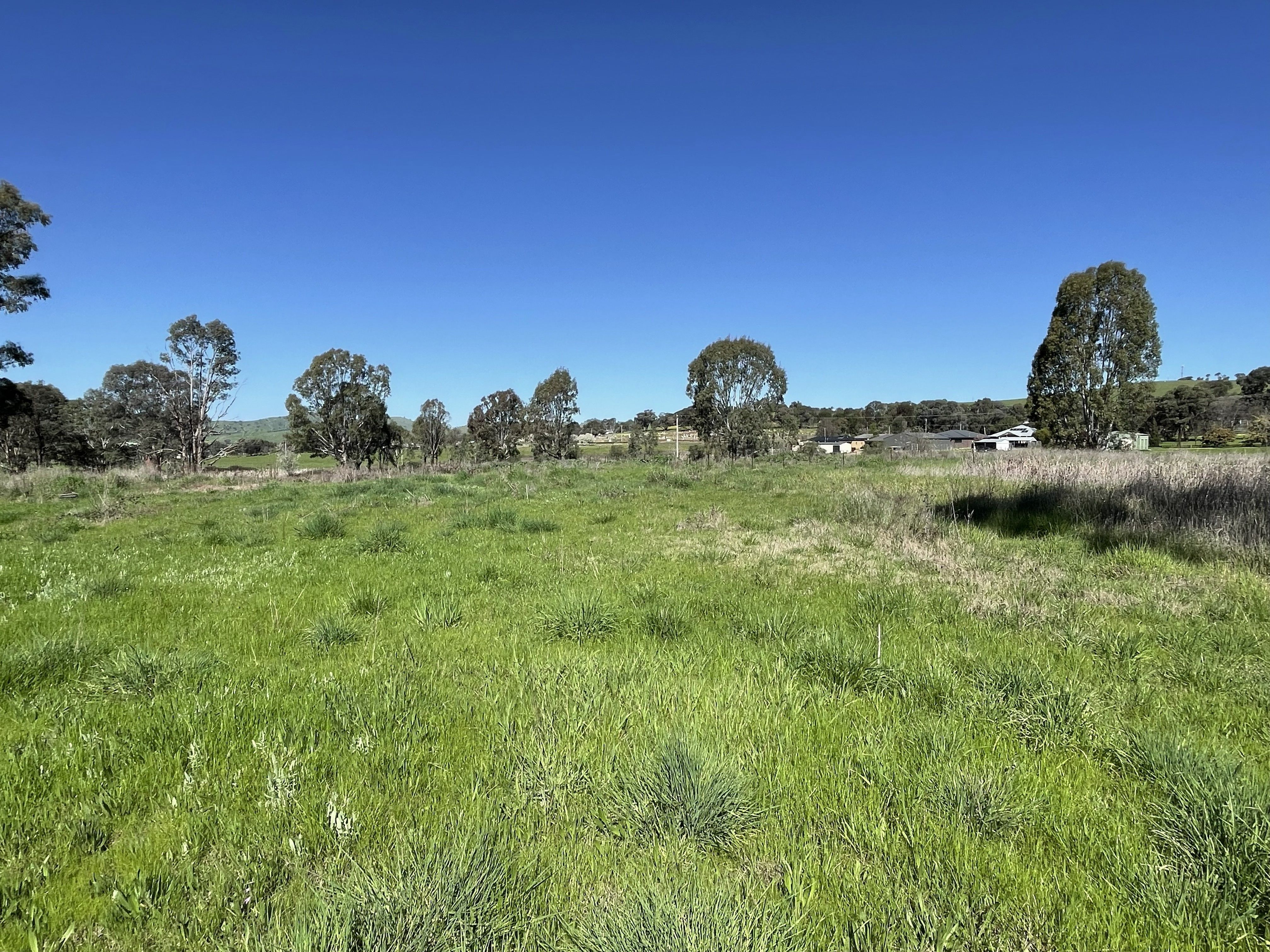 Lot 4 7-9B Springflat Drive, Gundagai, NSW 2722