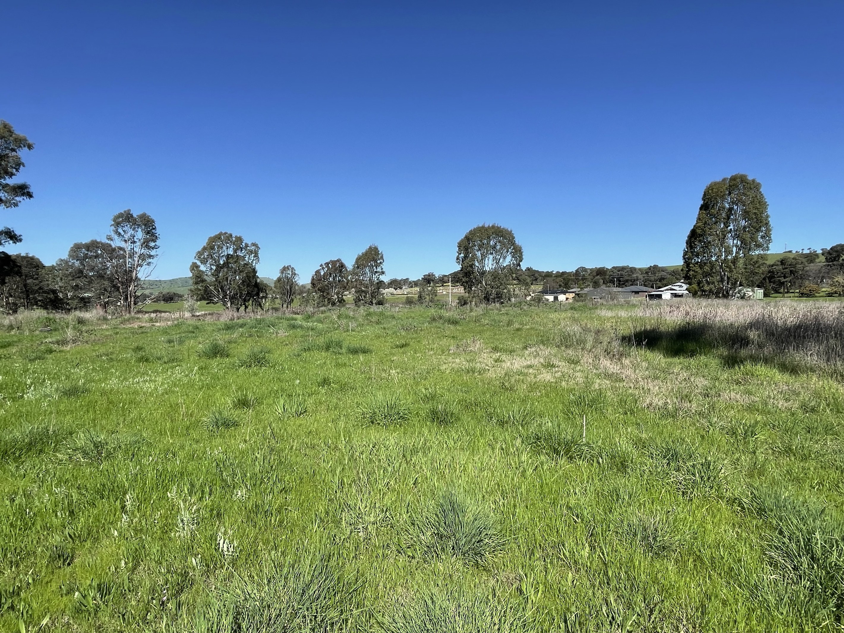 Lot 4 7-9B Springflat Drive, Gundagai, NSW 2722