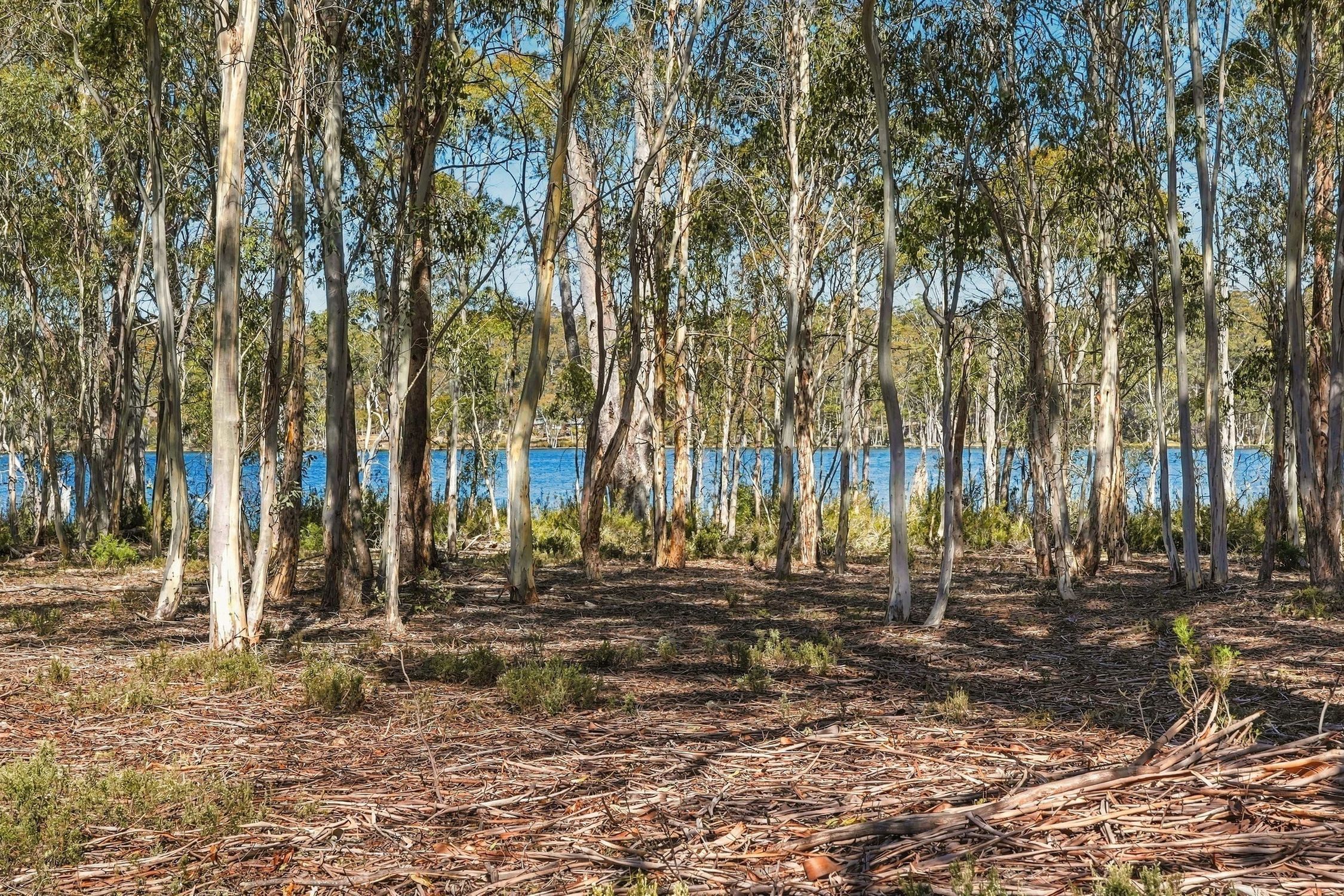 3 Pauciflora Drive — photo 4 of 12