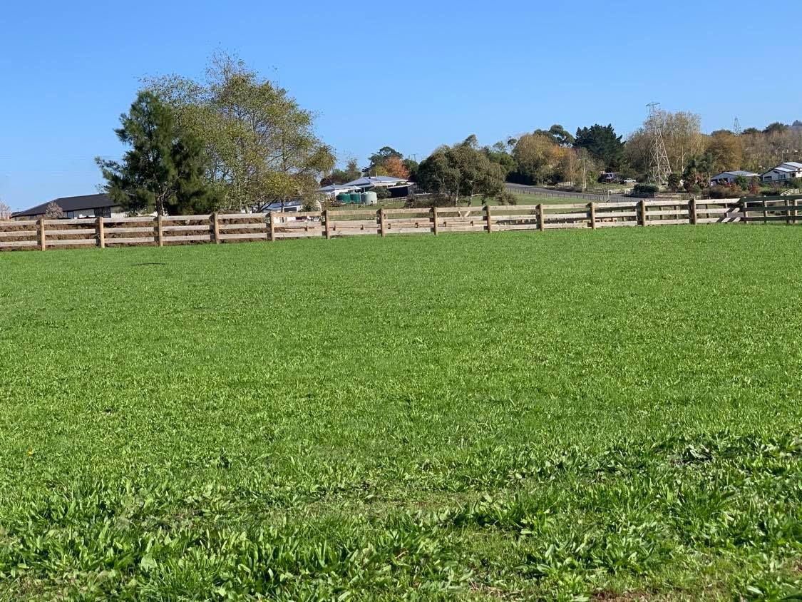 81a Dean Road, Pokeno, Franklin