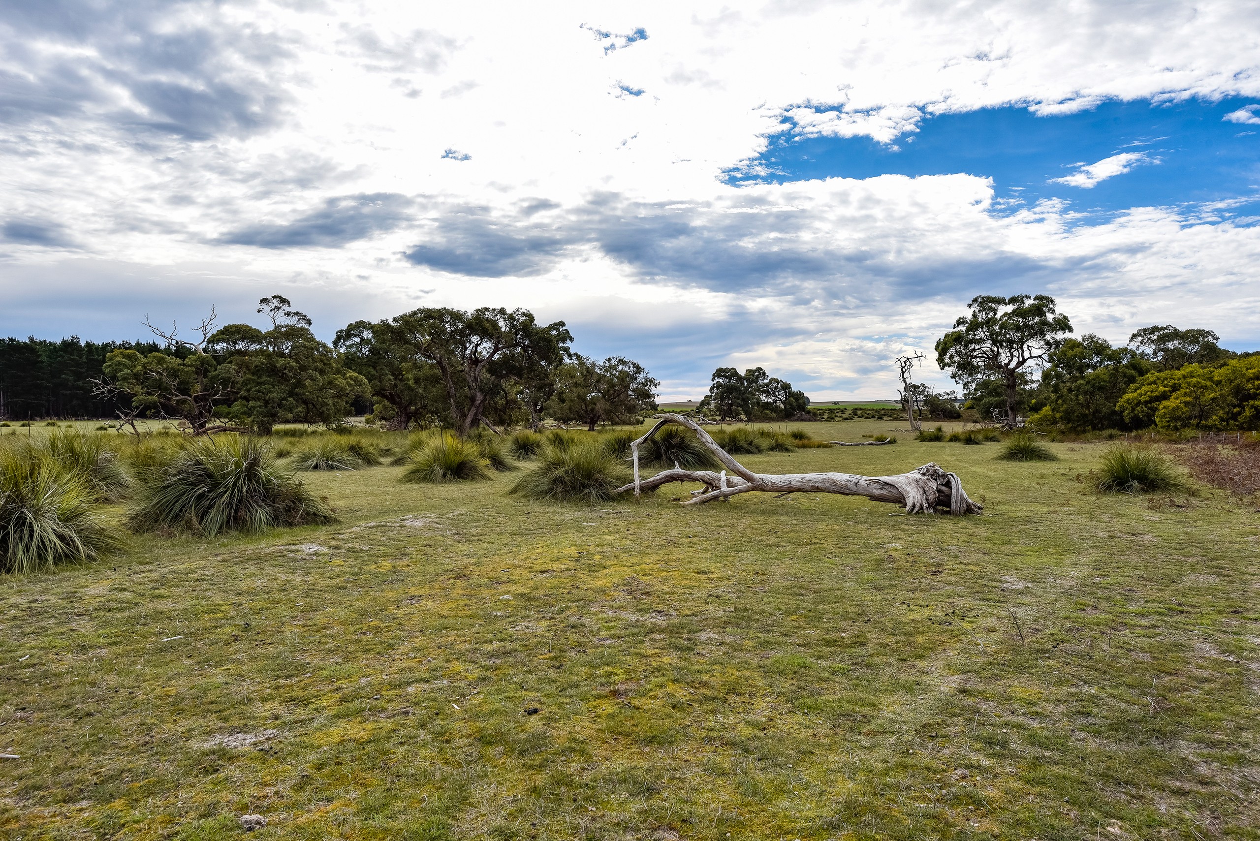 Lot 5 & Lot 12 Ellisons Road, Lucindale, SA 5272