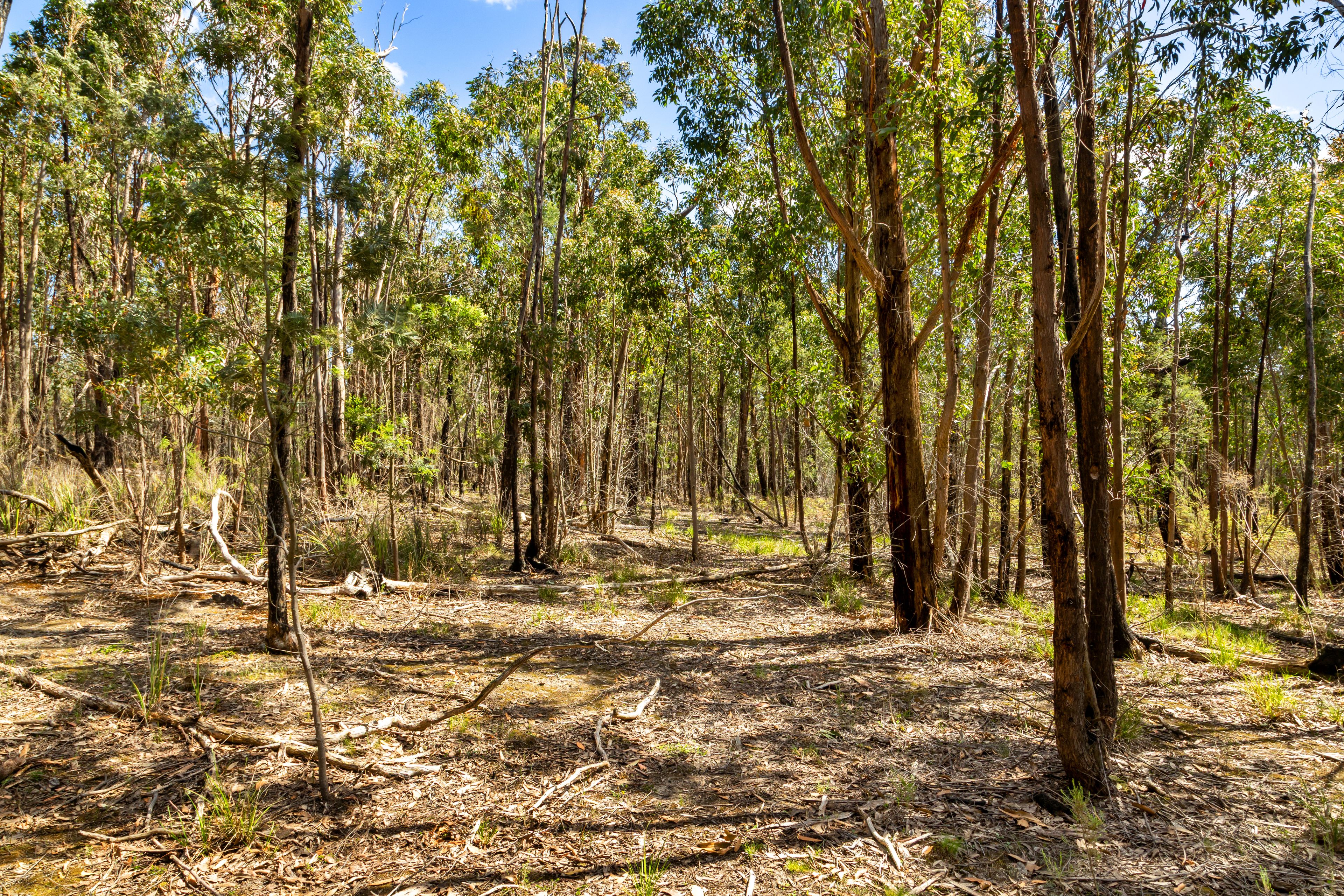 Lot 8 Pryors Road — photo 9 of 10