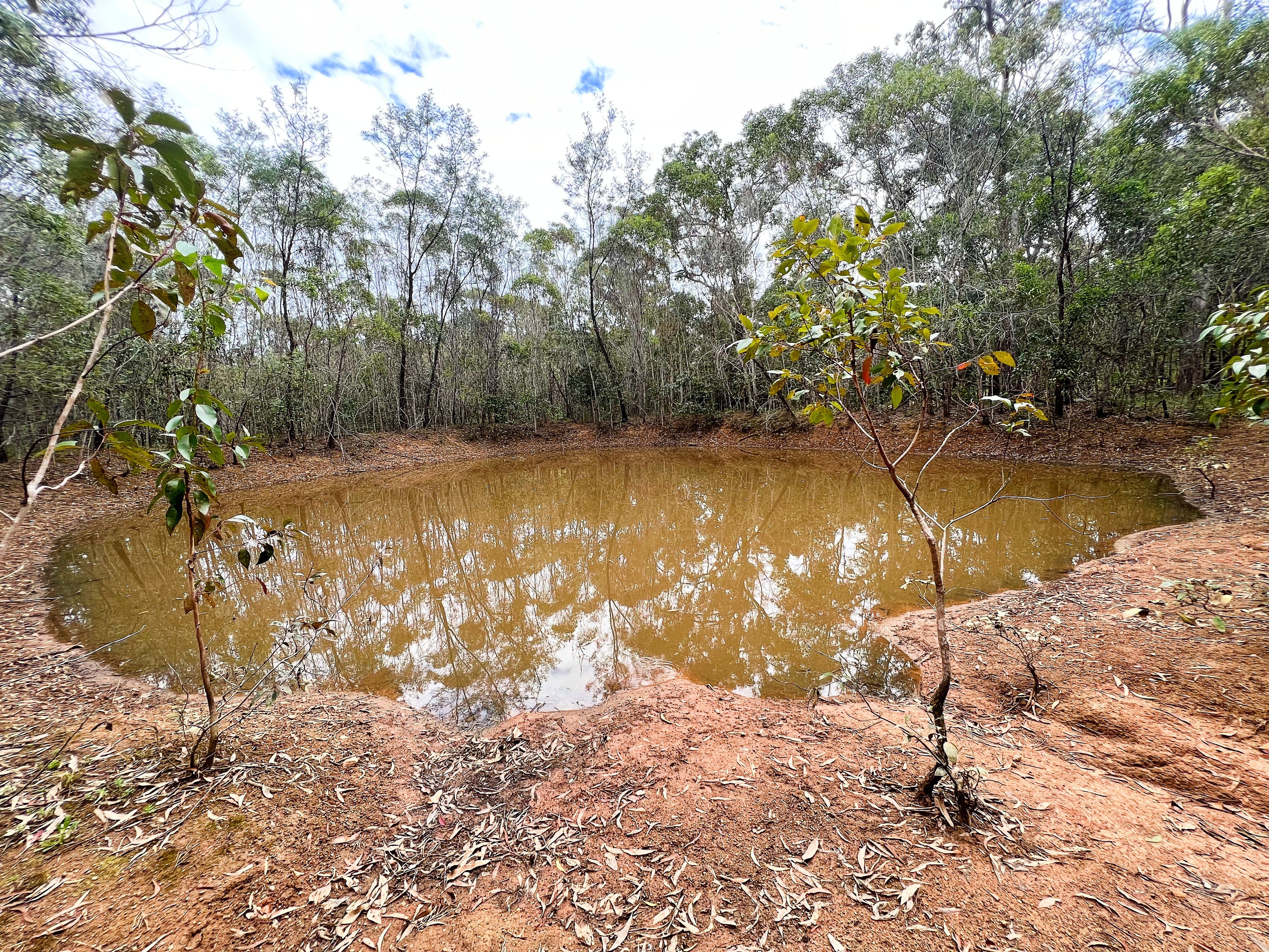 Lot 5 Barrs Road, South Kolan, QLD 4670 Sold Land Ray White Bundaberg