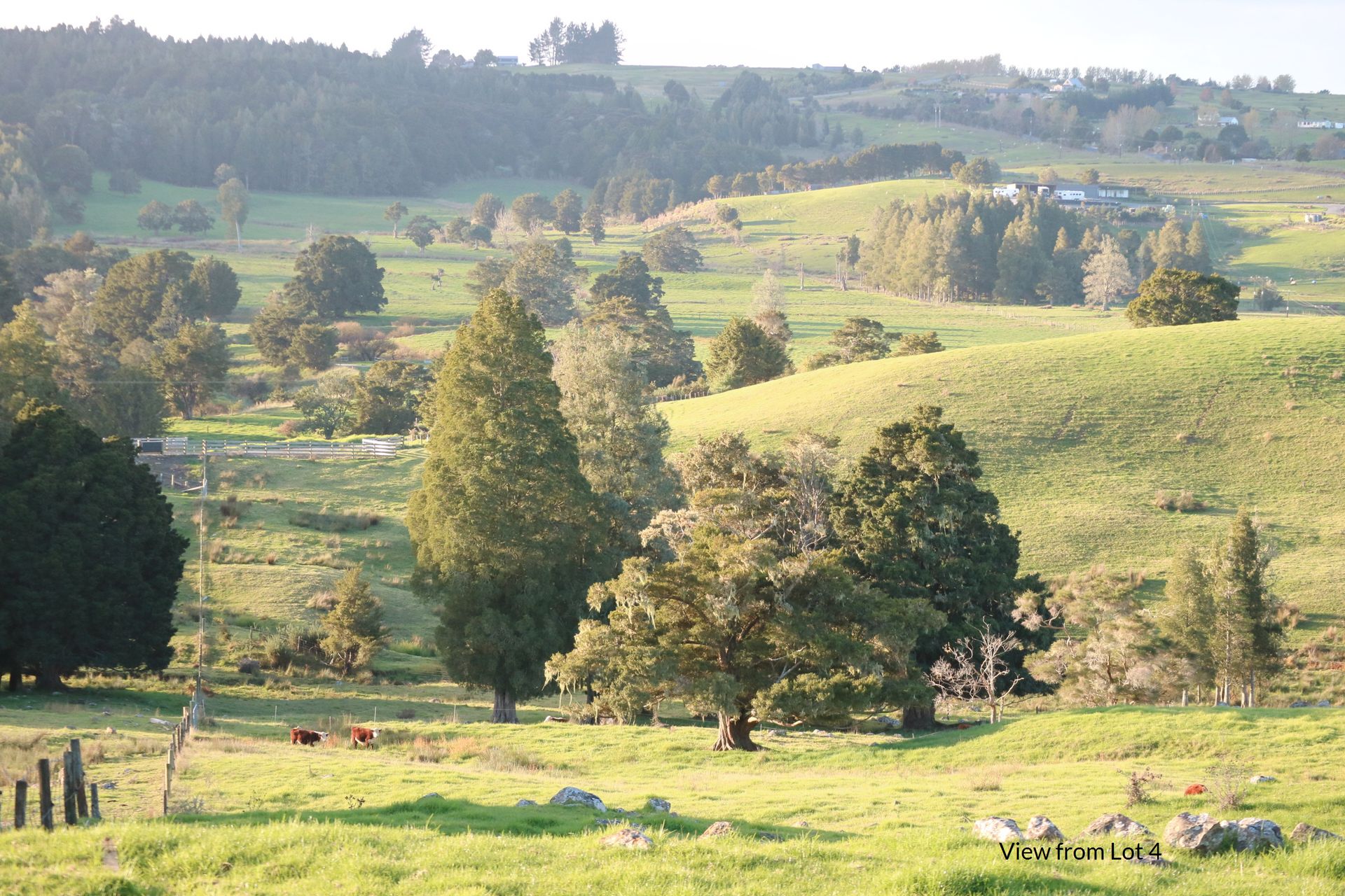 Kerikeri  Far North District  0230 photo 6