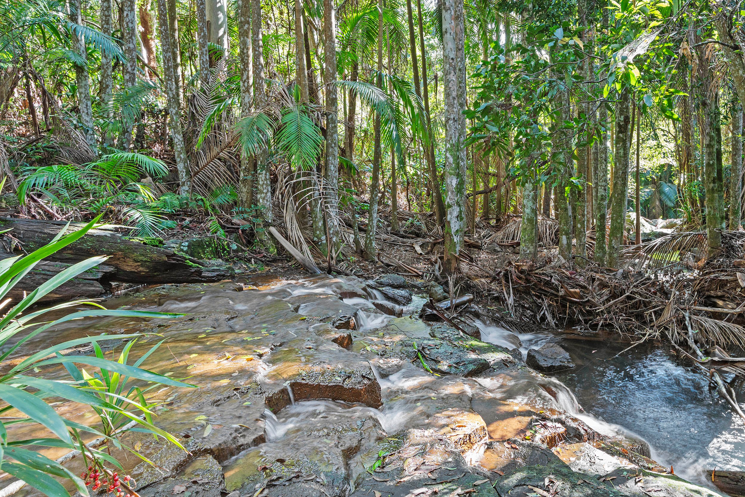 28a Geissmann Street, Tamborine Mountain, QLD 4272