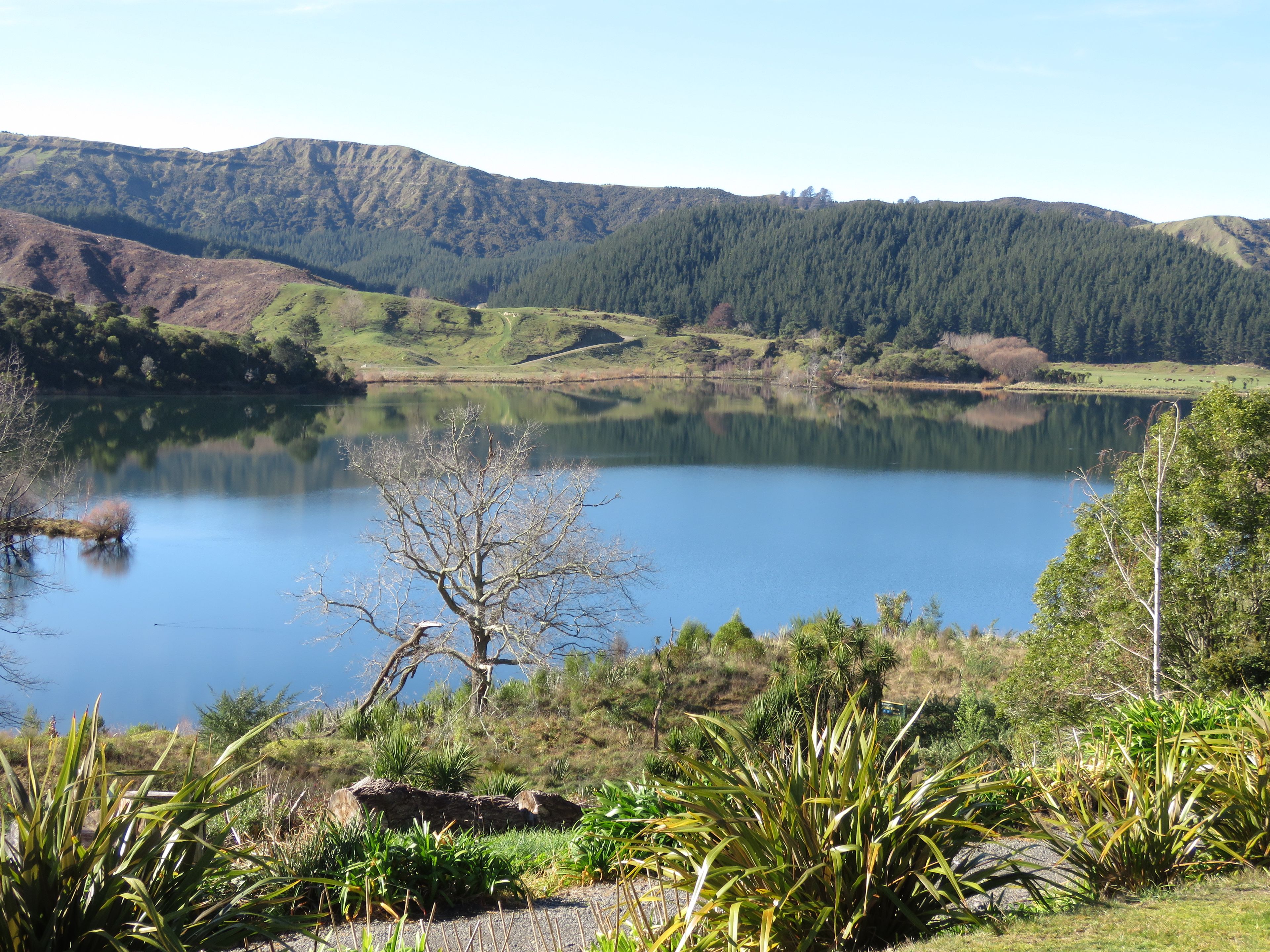 3777 State Highway 2, Tutira, Hastings District