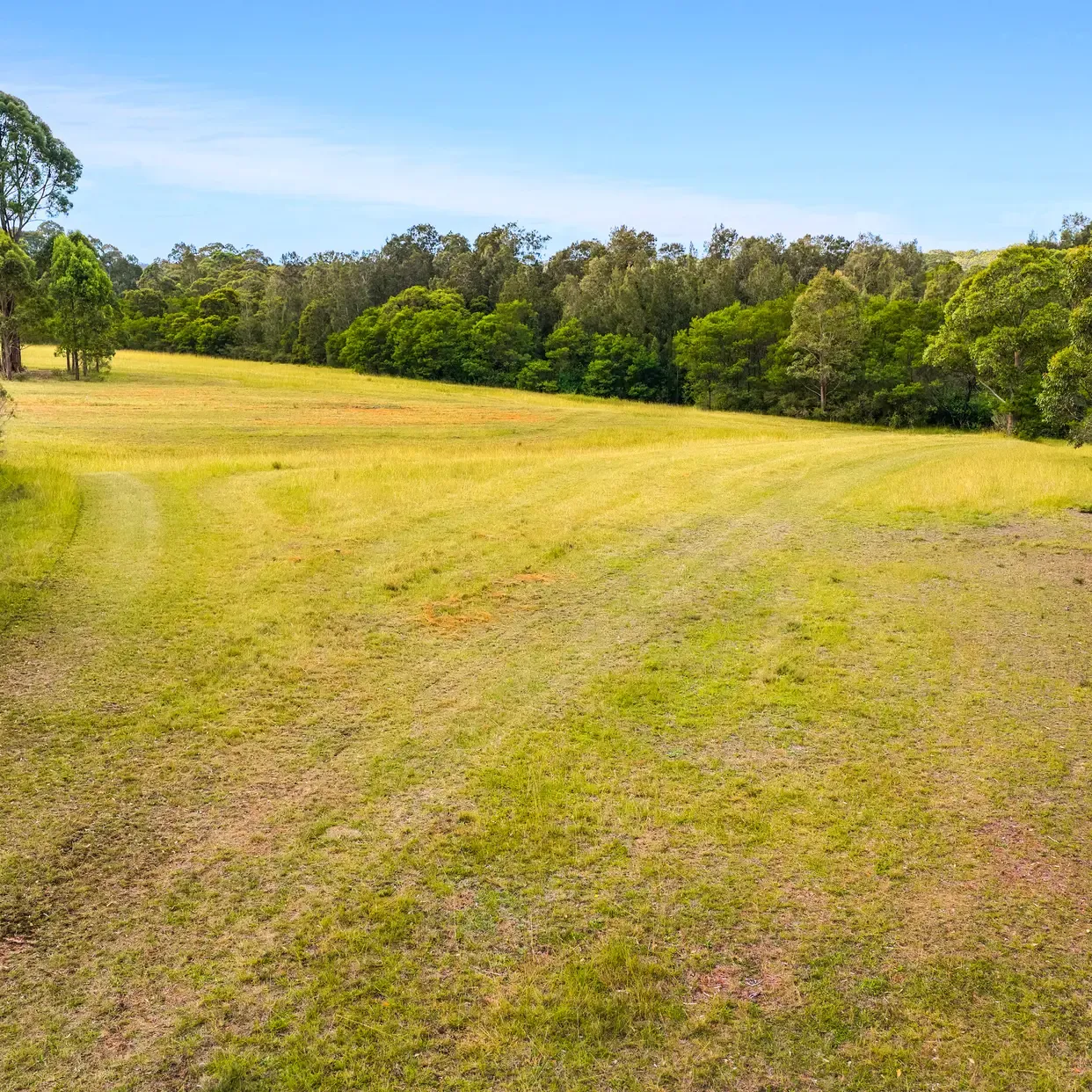 240 Cabbage Tree Lane — photo 8 of 11
