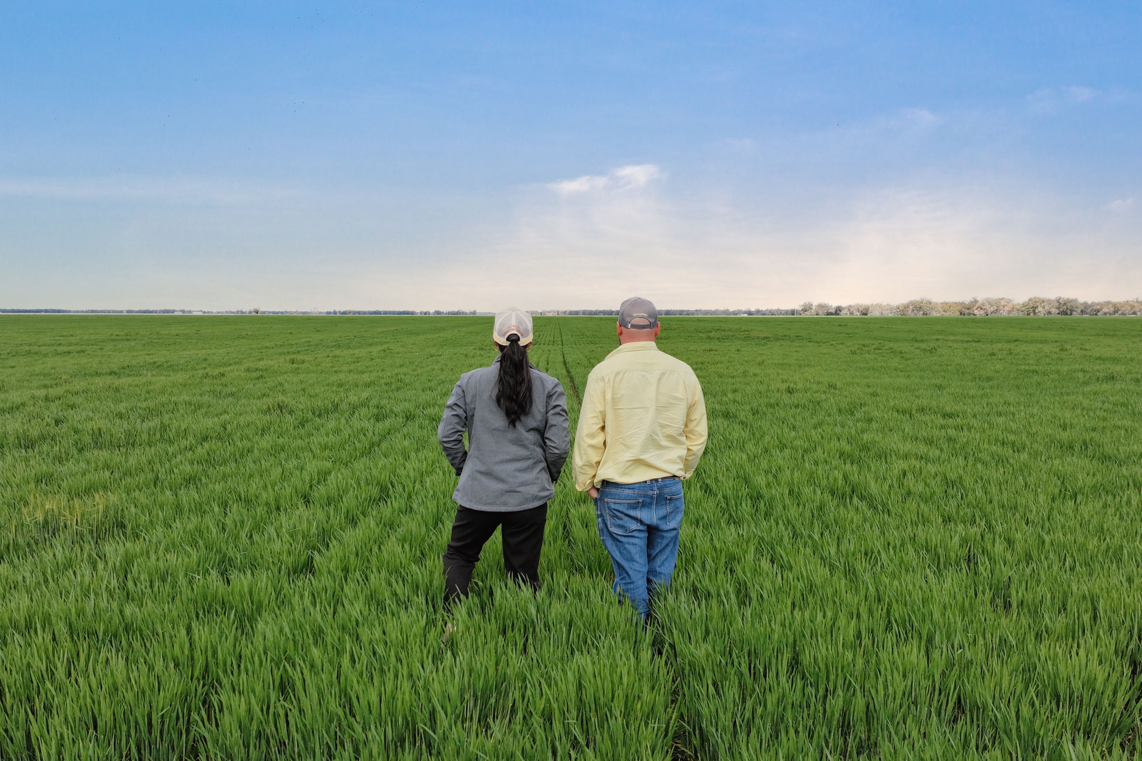 'Williams Crossing' 139 Harris Lane, Quandialla, NSW 2721