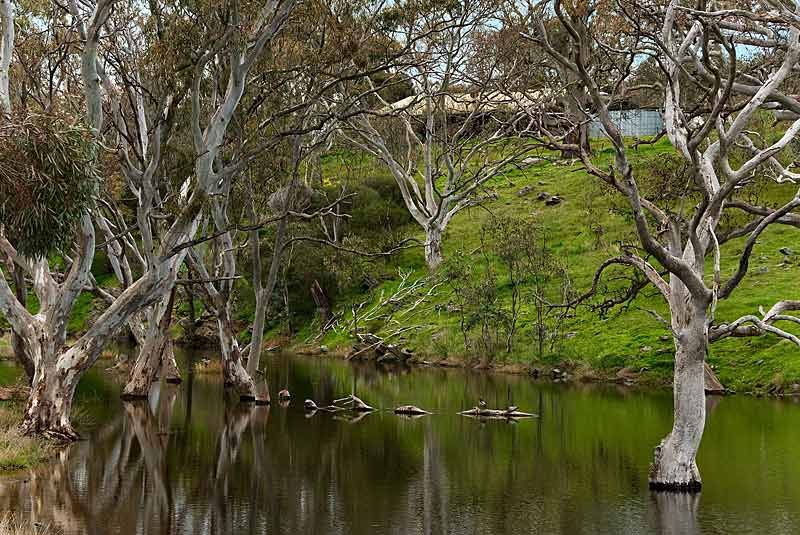 Lot 571 Vale Road, Wistow, SA 5251