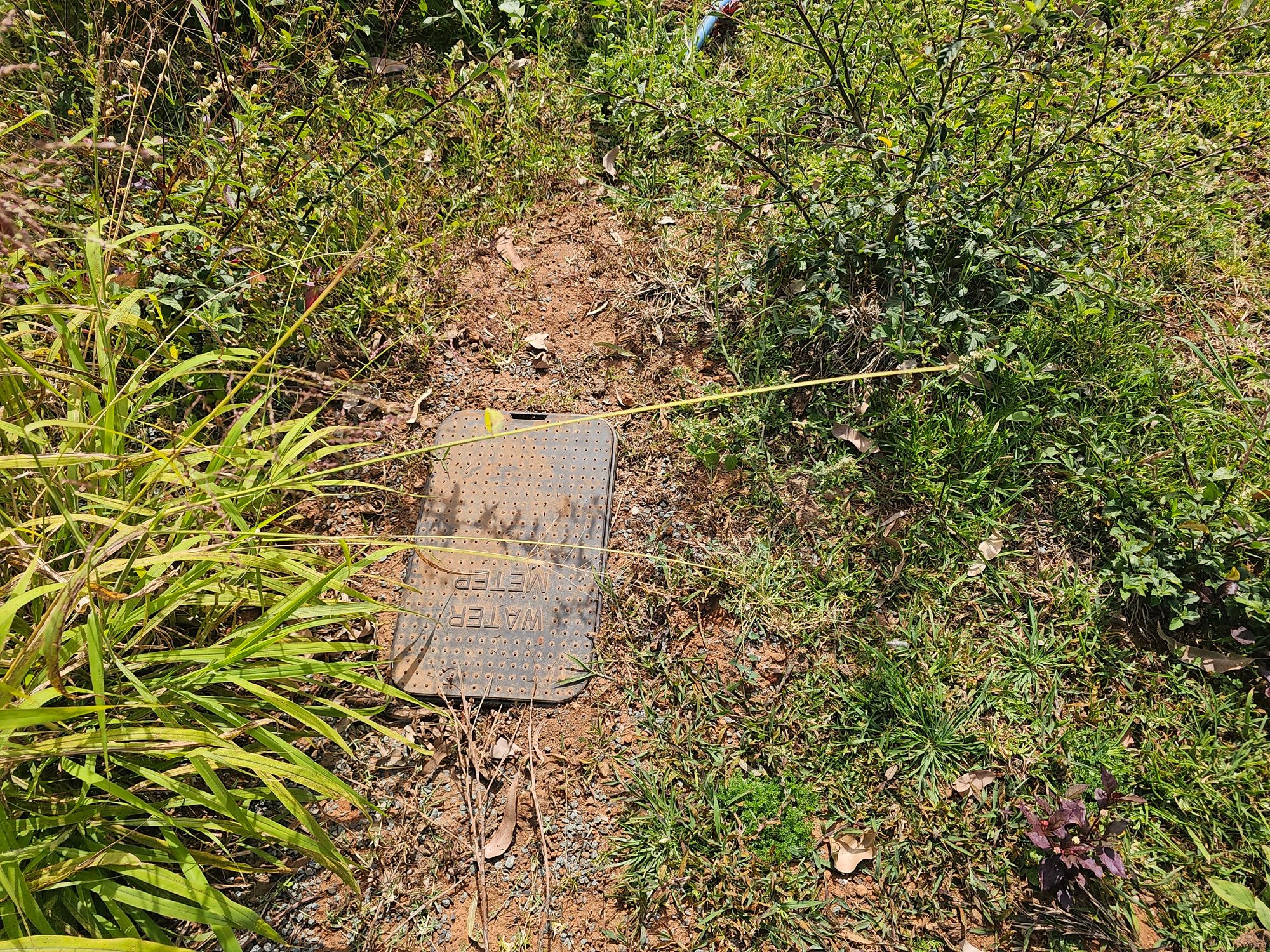 51 Witty Road — photo 8 of 9