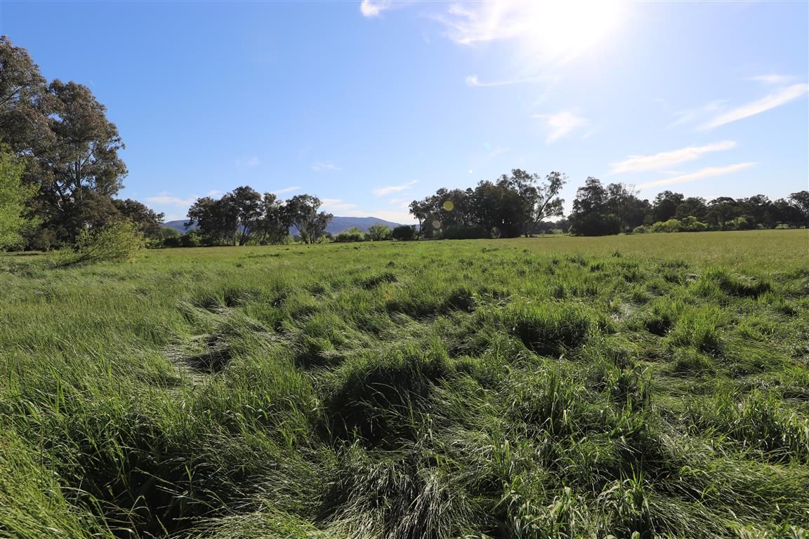 Lacmalac Road, Tumut, NSW 2720