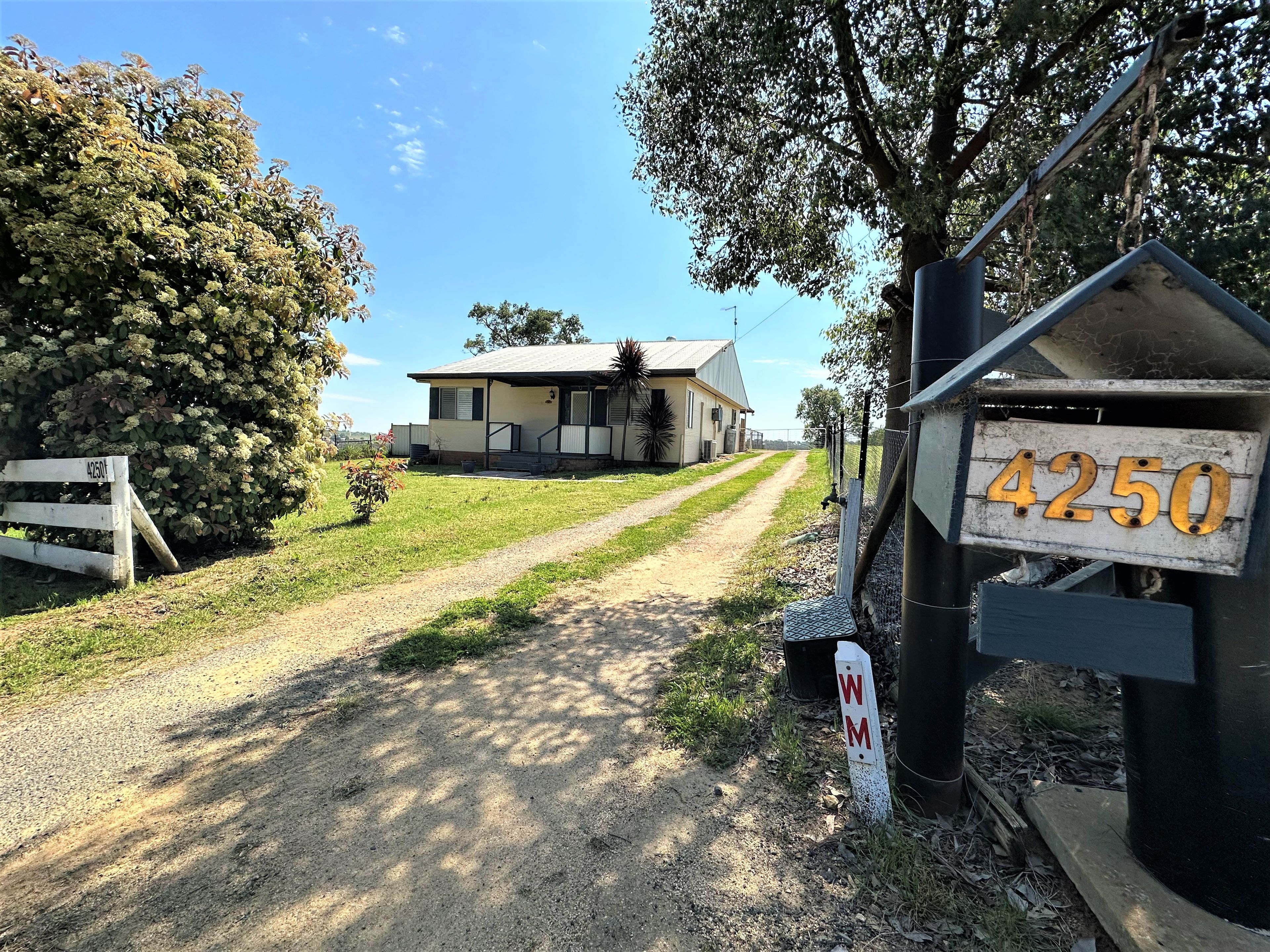4250 Murringo Road, Young NSW 2594