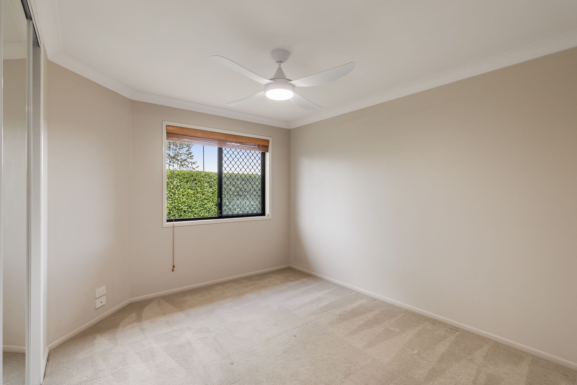 23 Corella Street — photo 12 of 25