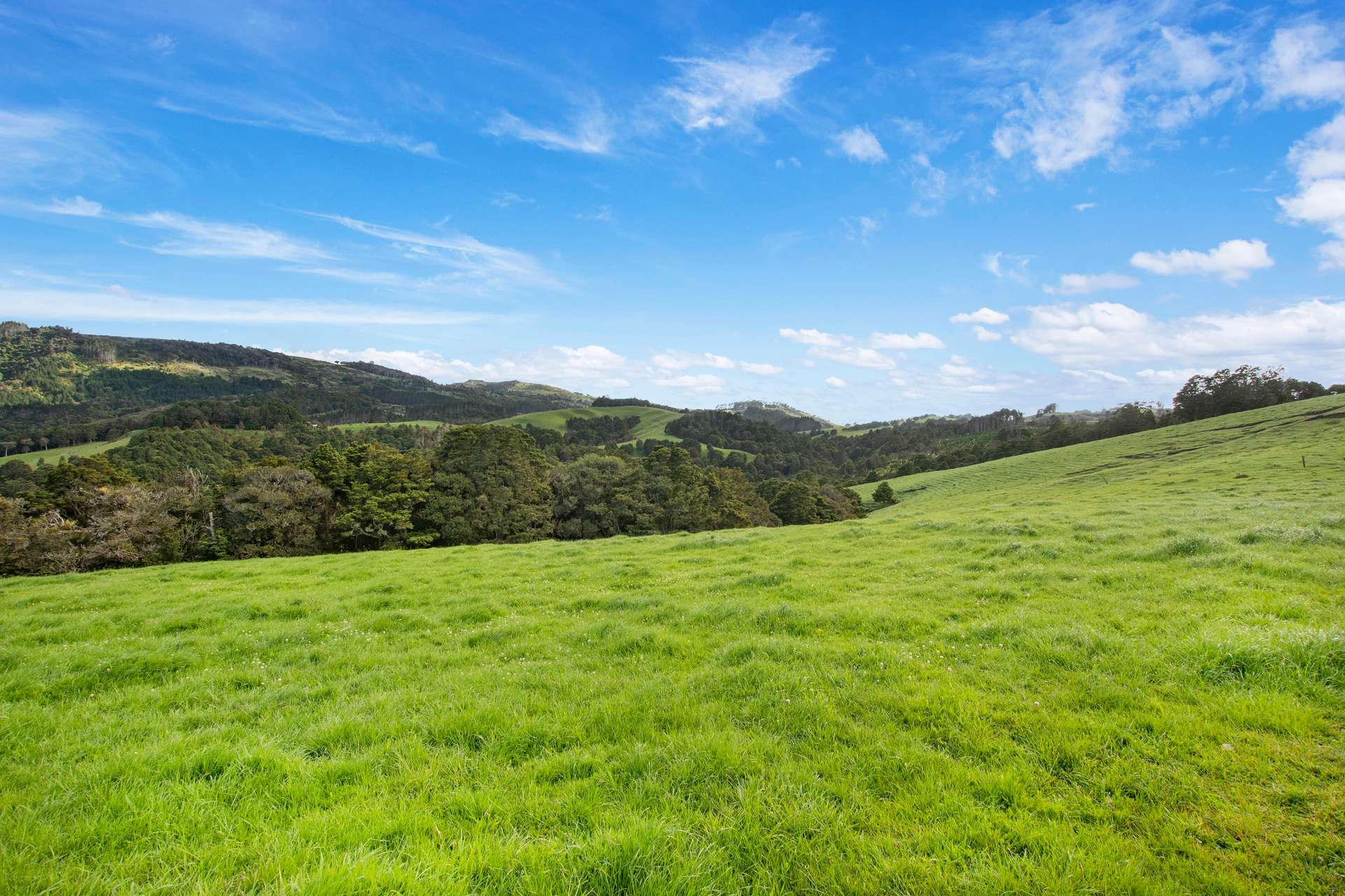 0 Russell Road Airstrip Block photo 24