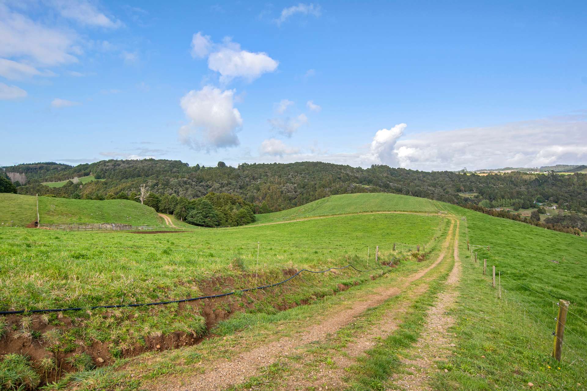 0 Russell Road Airstrip Block photo 23