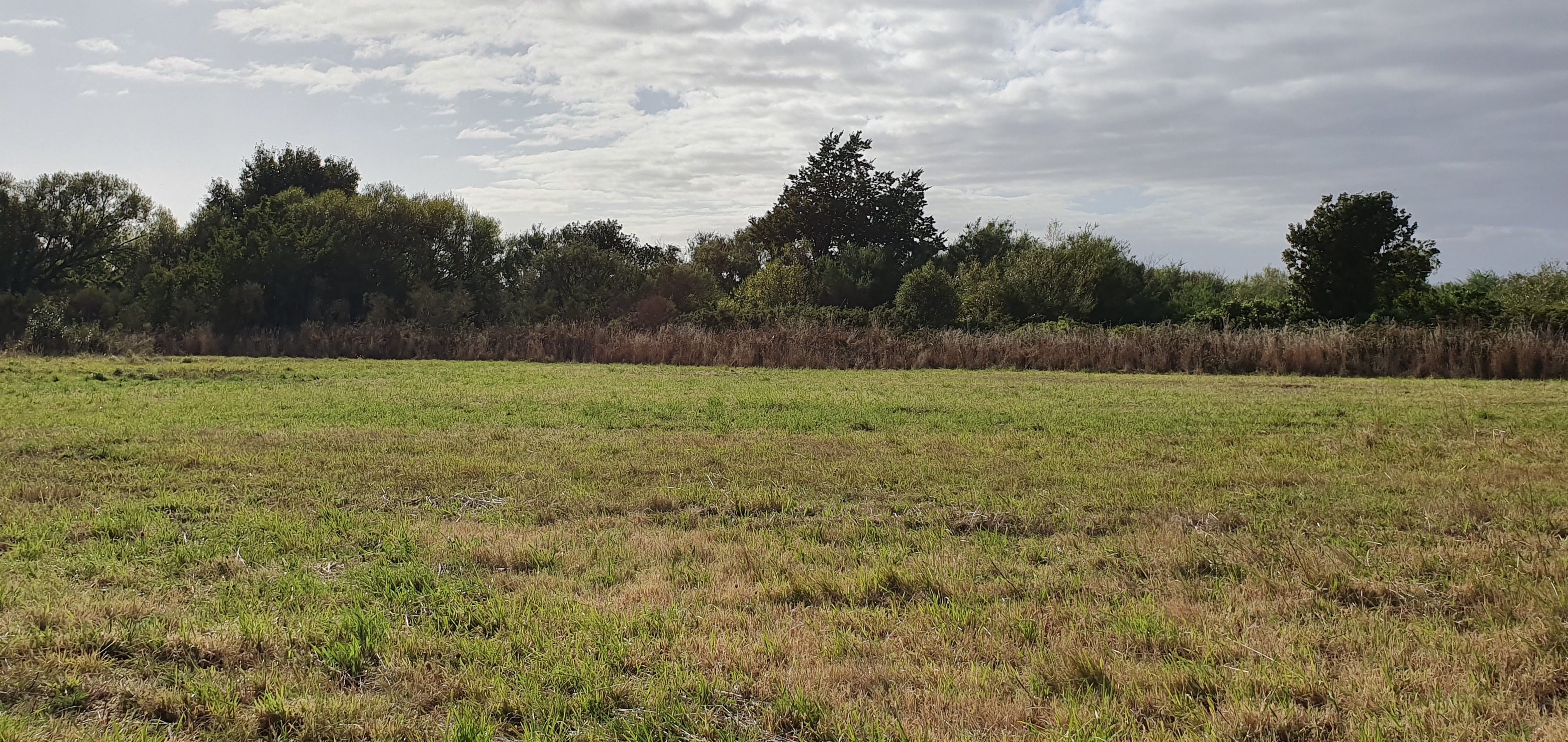 Lot 8 Ataahua Place, Featherston, South Wairarapa District