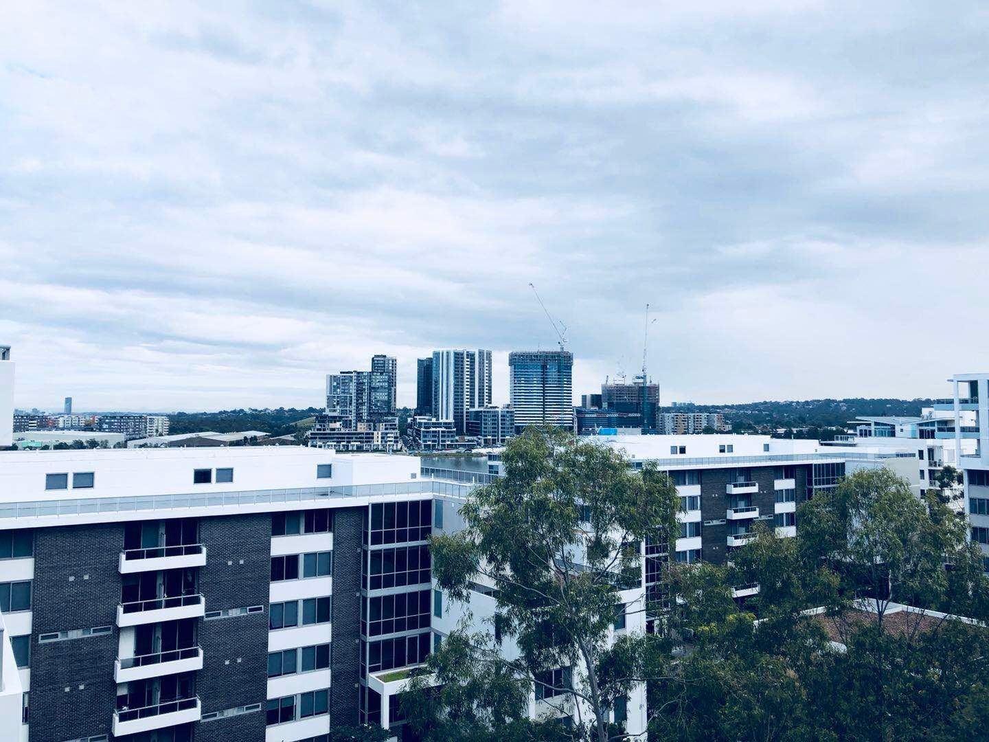 950/2 Macquet Street, Rhodes, NSW 2138