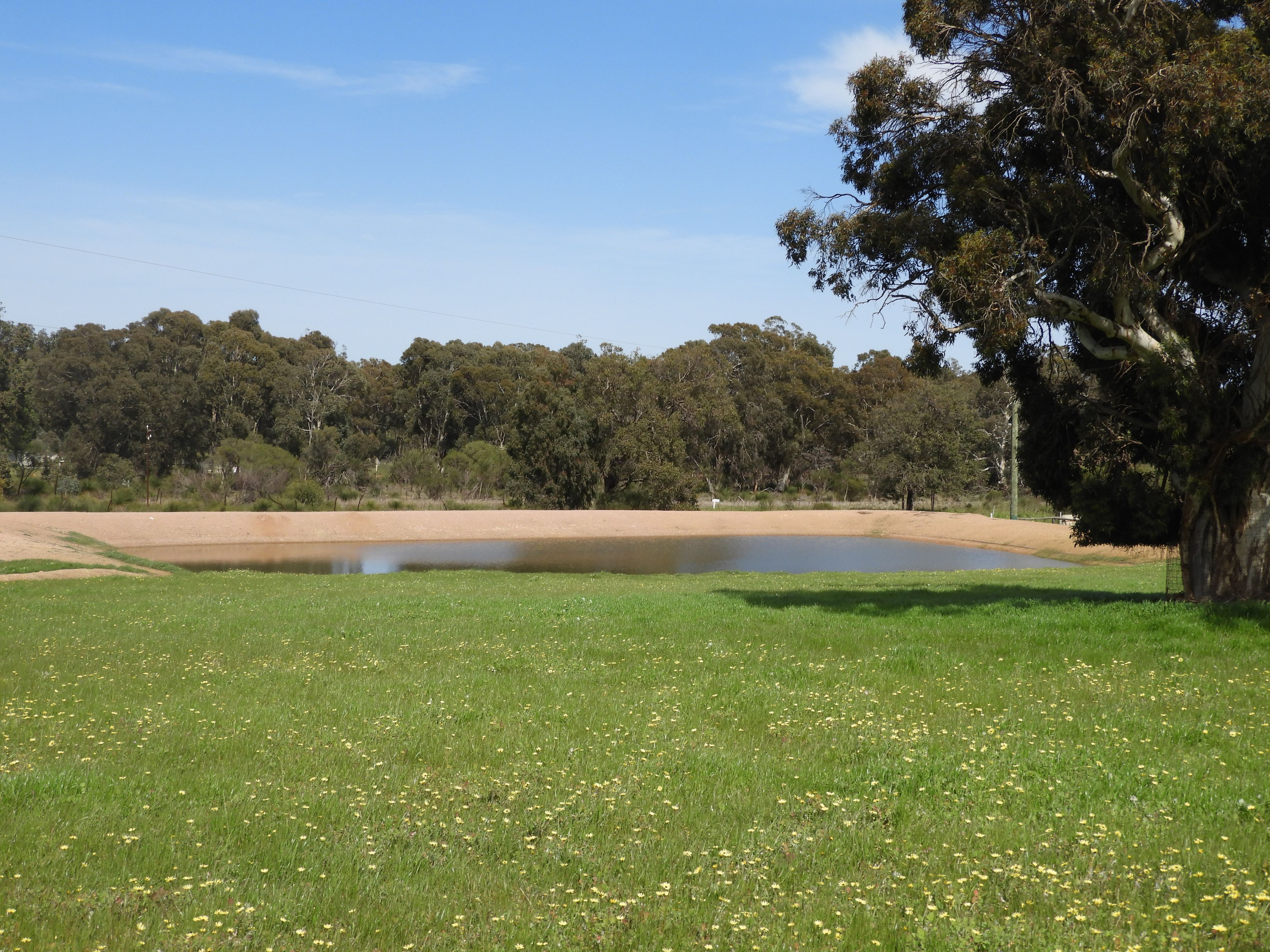 45 Vezey Road, Meelon, WA 6208 Sold Rural Mixed Farming Property