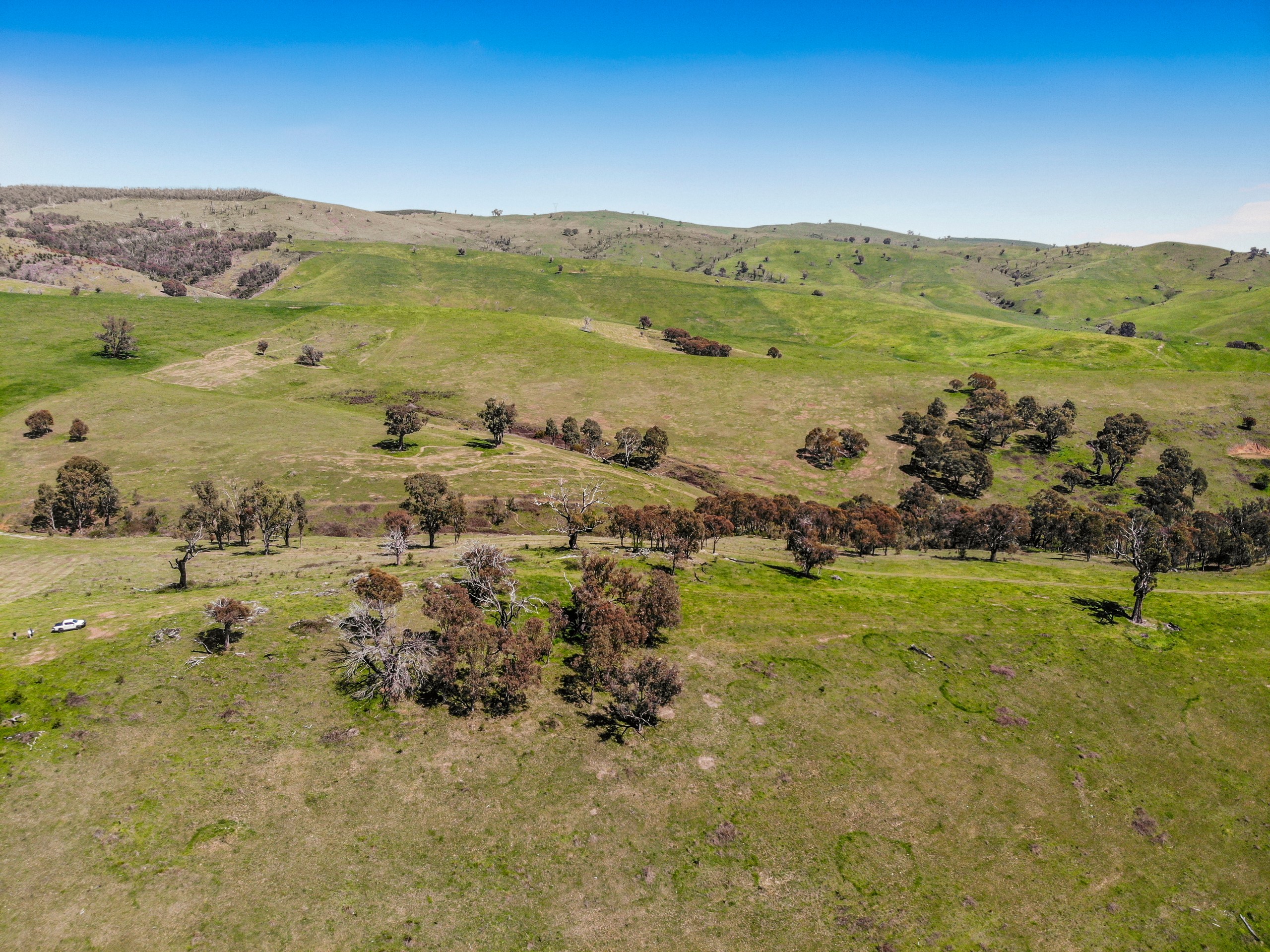 1260 Wondalga Road, Adelong, NSW 2729