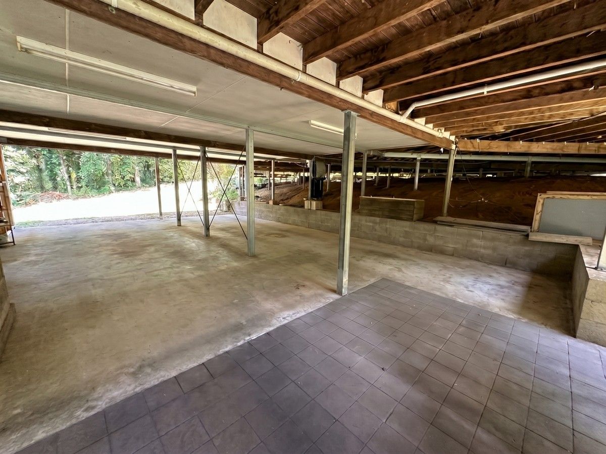 502 Lake Barrine Road — photo 11 of 30