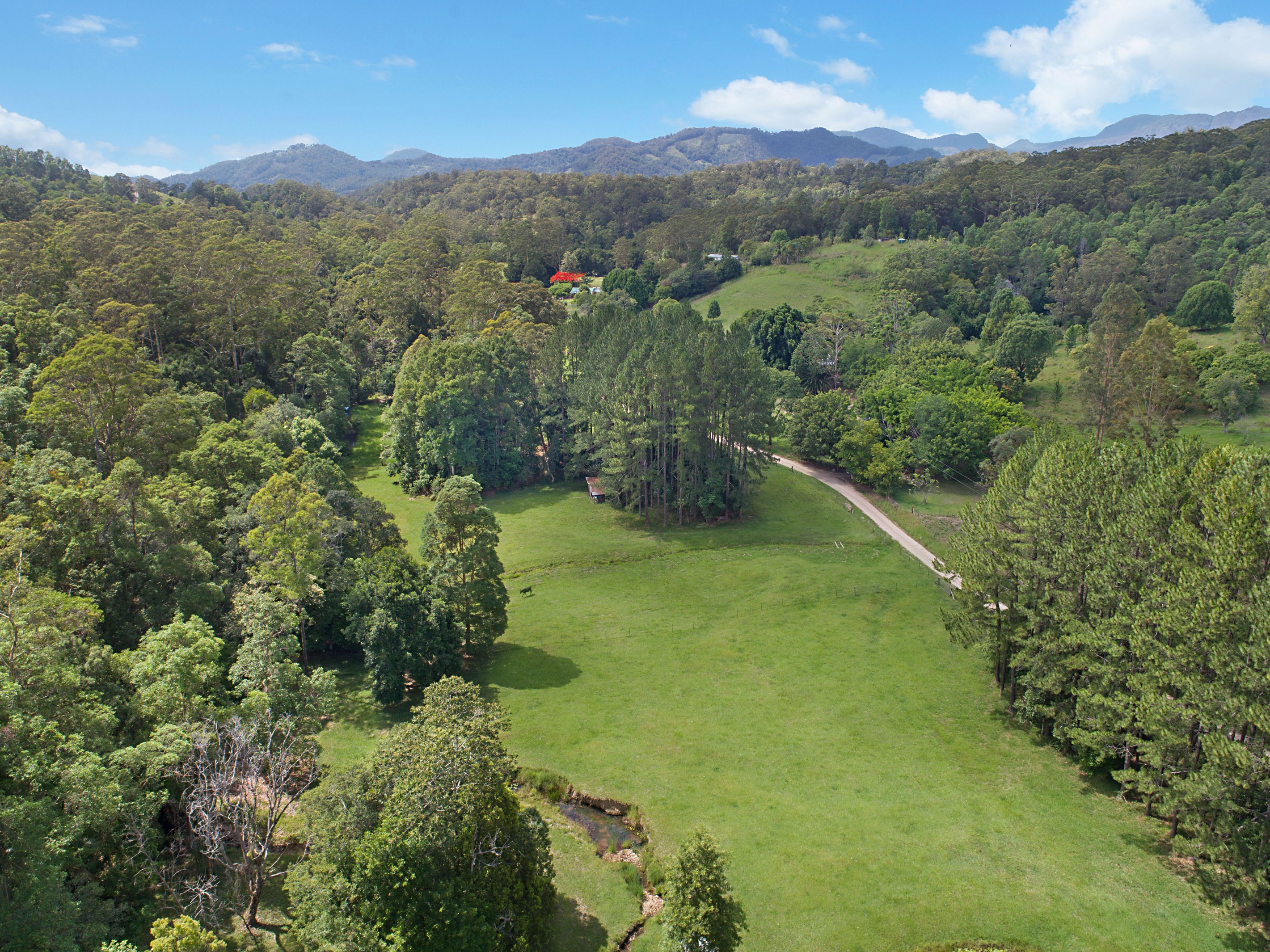 200 Chauviers Road, Upper Crystal Creek, NSW 2484