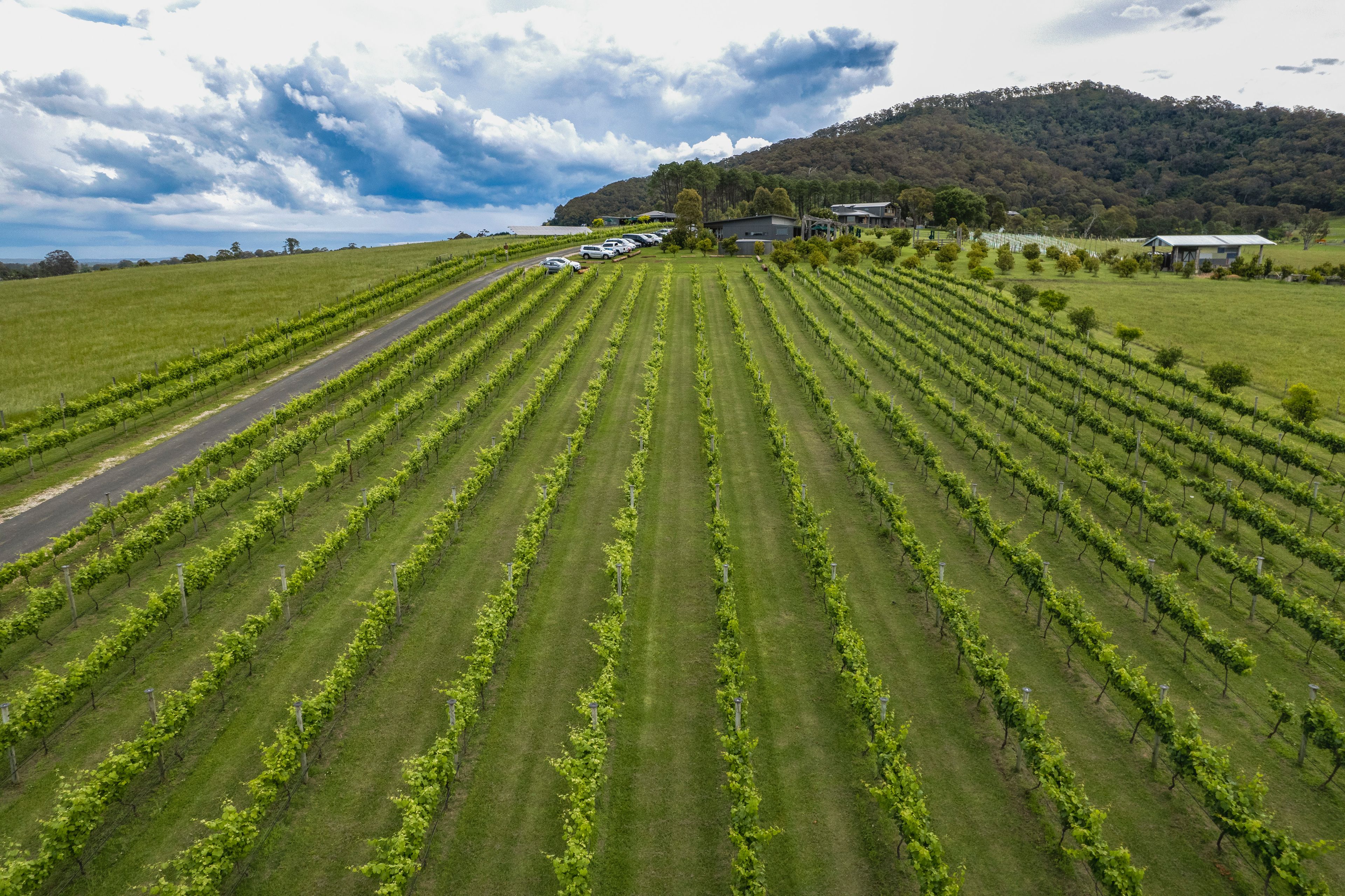 11 Coolangatta Road, Coolangatta, NSW 2535