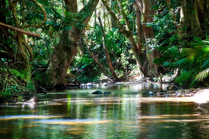 72 Fallon Rd/1593 Kennedy Highway, KURANDA, QLD 4881