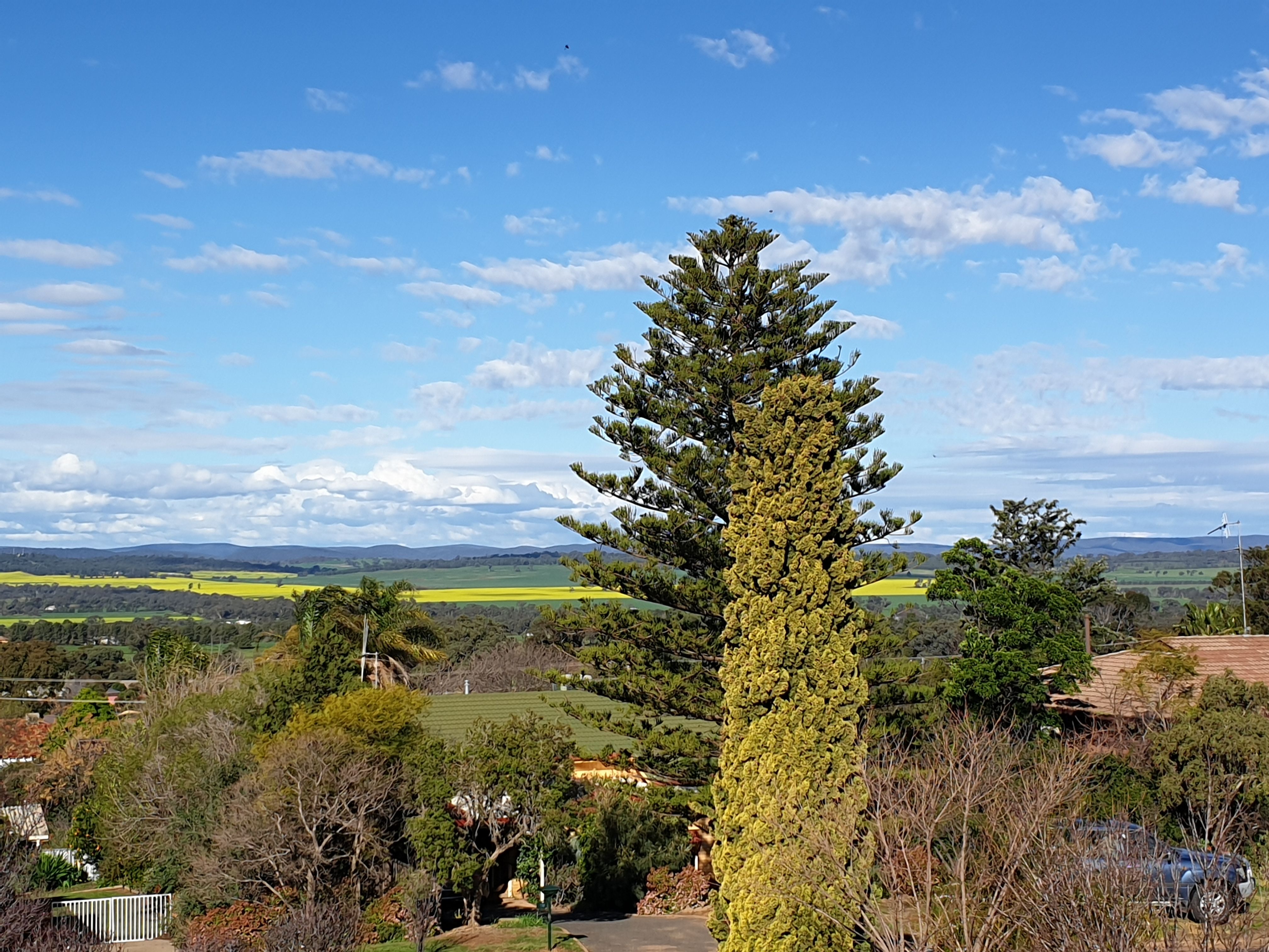 22 Mengarvie Road, Parkes, NSW 2870