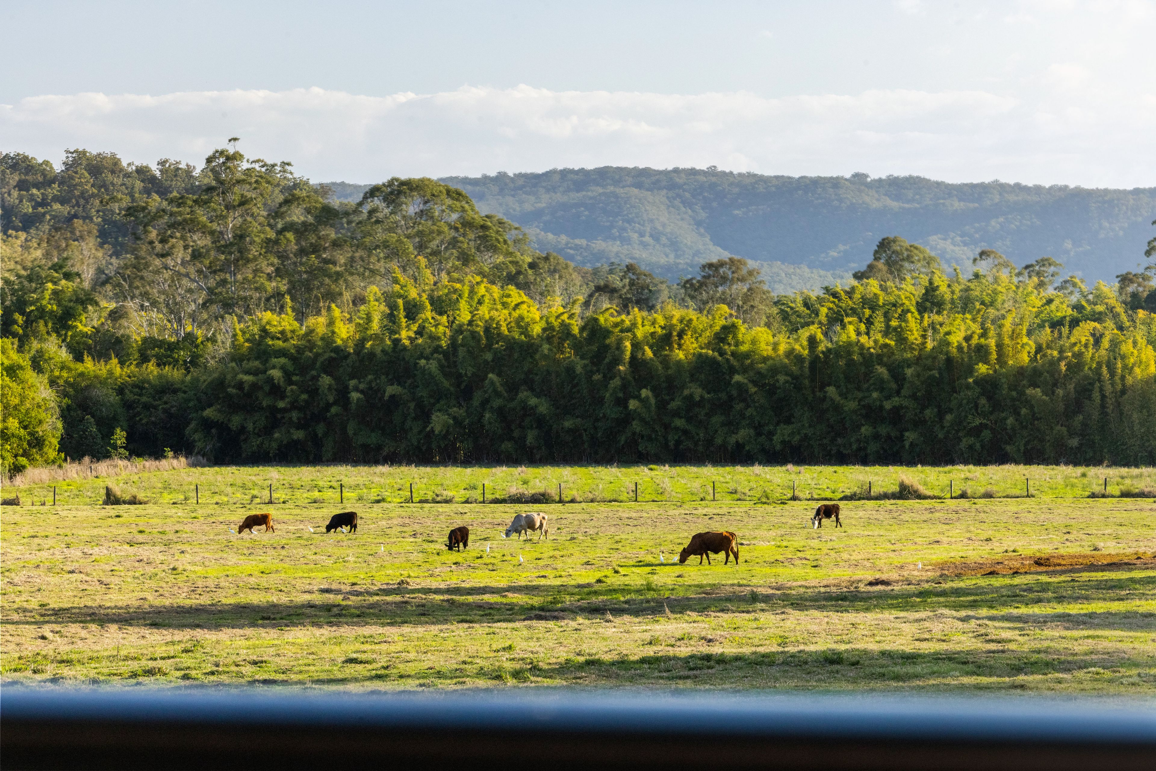 1121 Eumundi - Kenilworth Road — photo 7 of 30