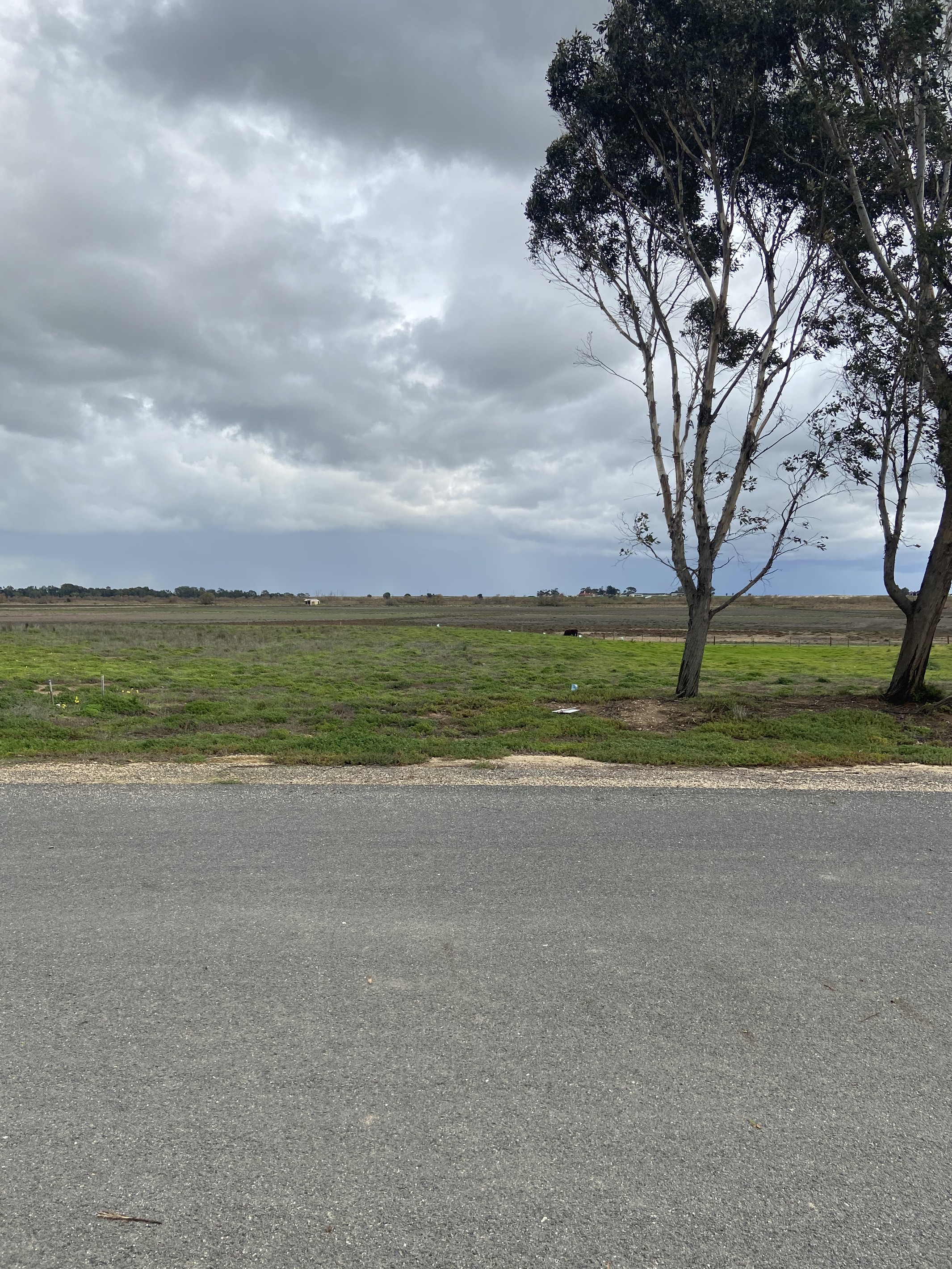 Lot 117 Kelsey Court, Wellington East, SA 5259