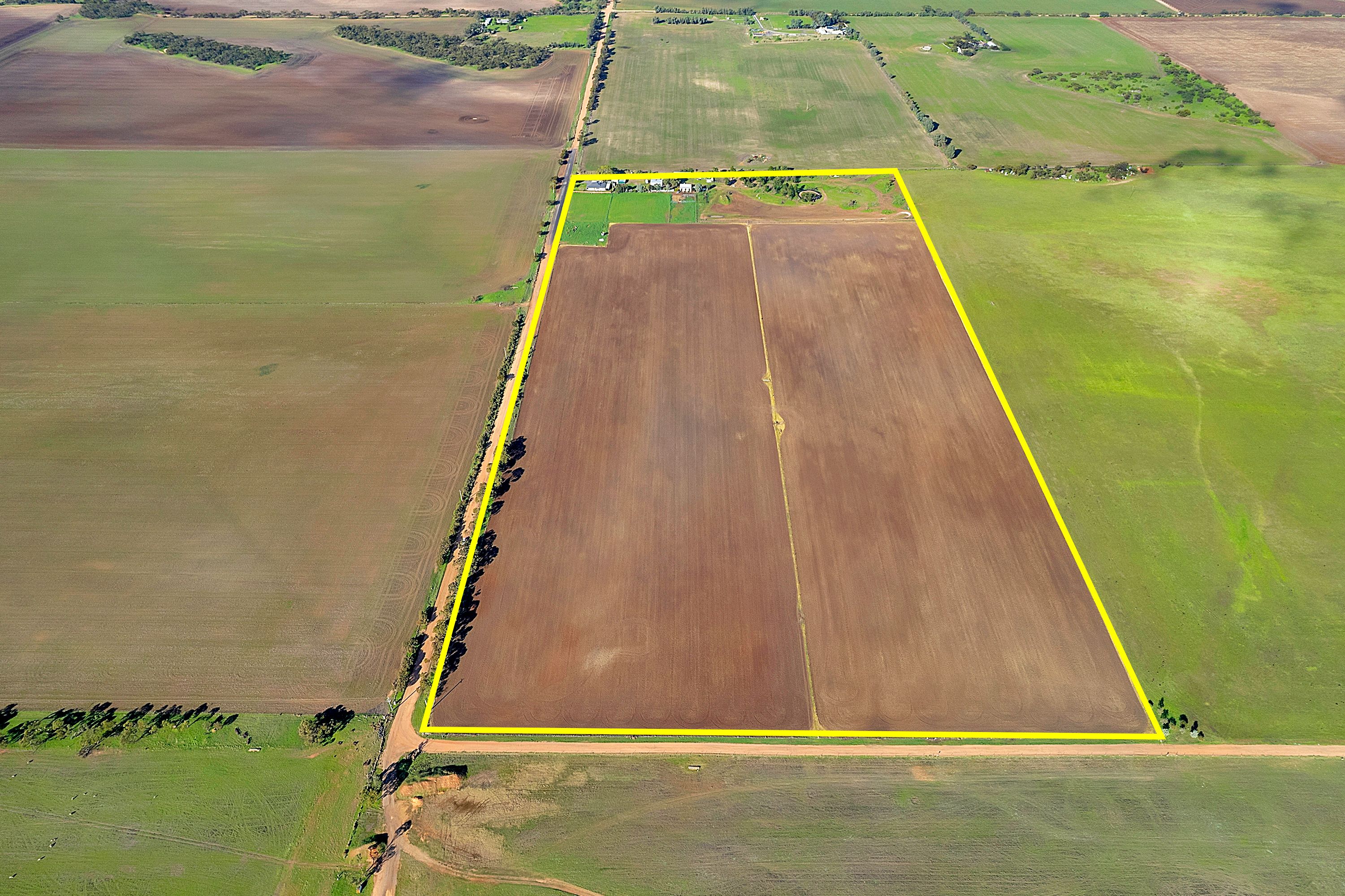 597 Aunger Road, Reeves Plains, SA 5502 Sold House Ray White