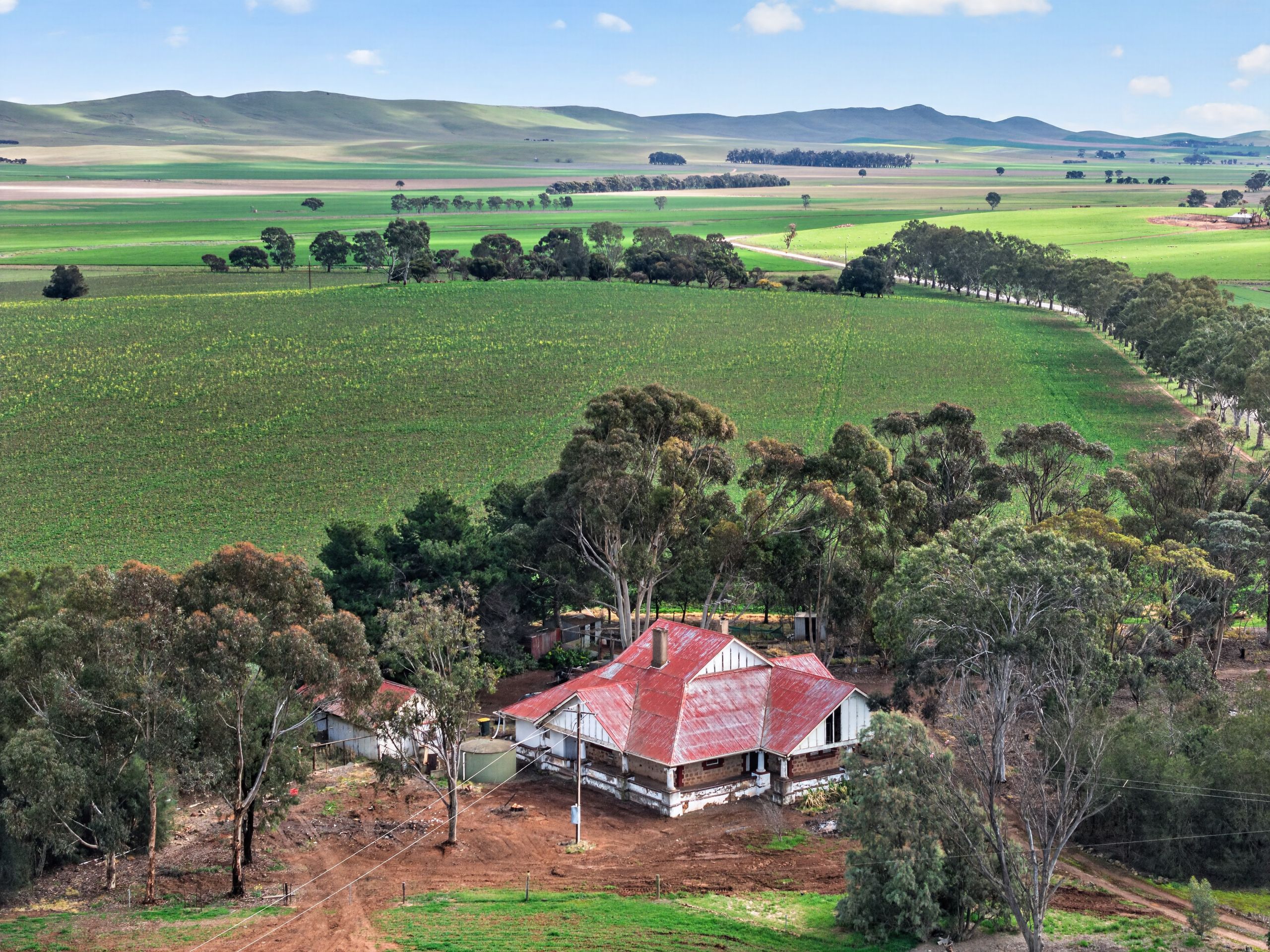 'Farrell Flat Block' Booborowie Road — photo 15 of 16