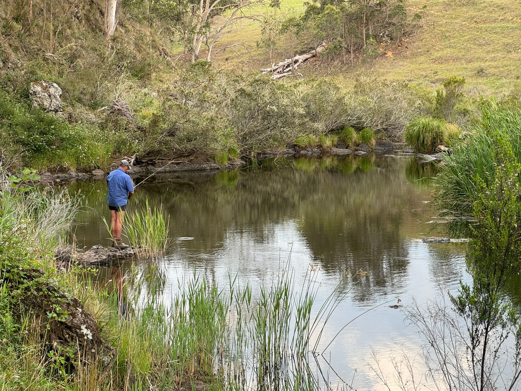 "The Park" 522 Oaklands Road, Yarrowitch, NSW 2354 Sold Rural Mixed