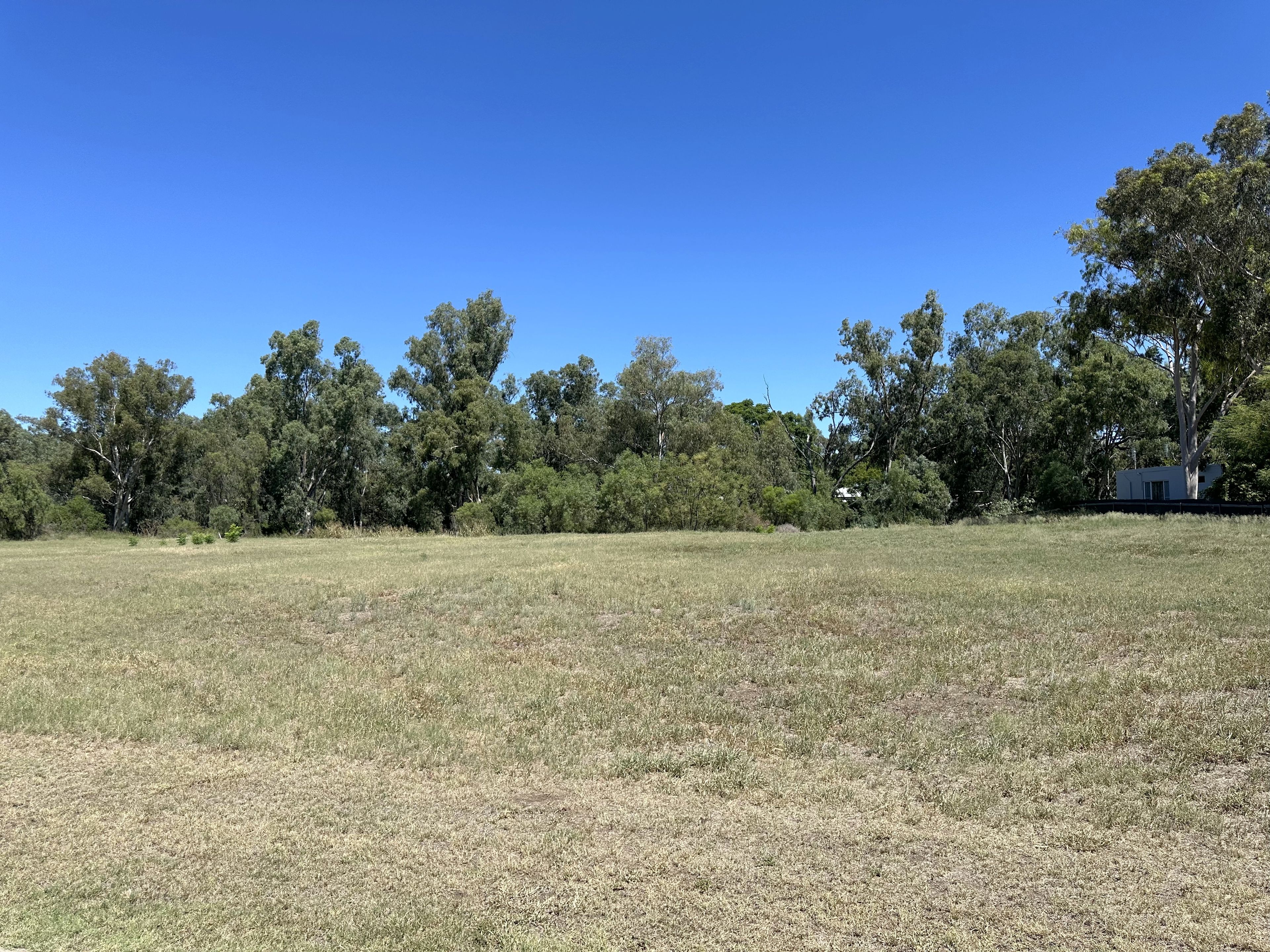 4 Olive Crescent, Moree, NSW 2400 Land for Sale Ray White Rural Moree