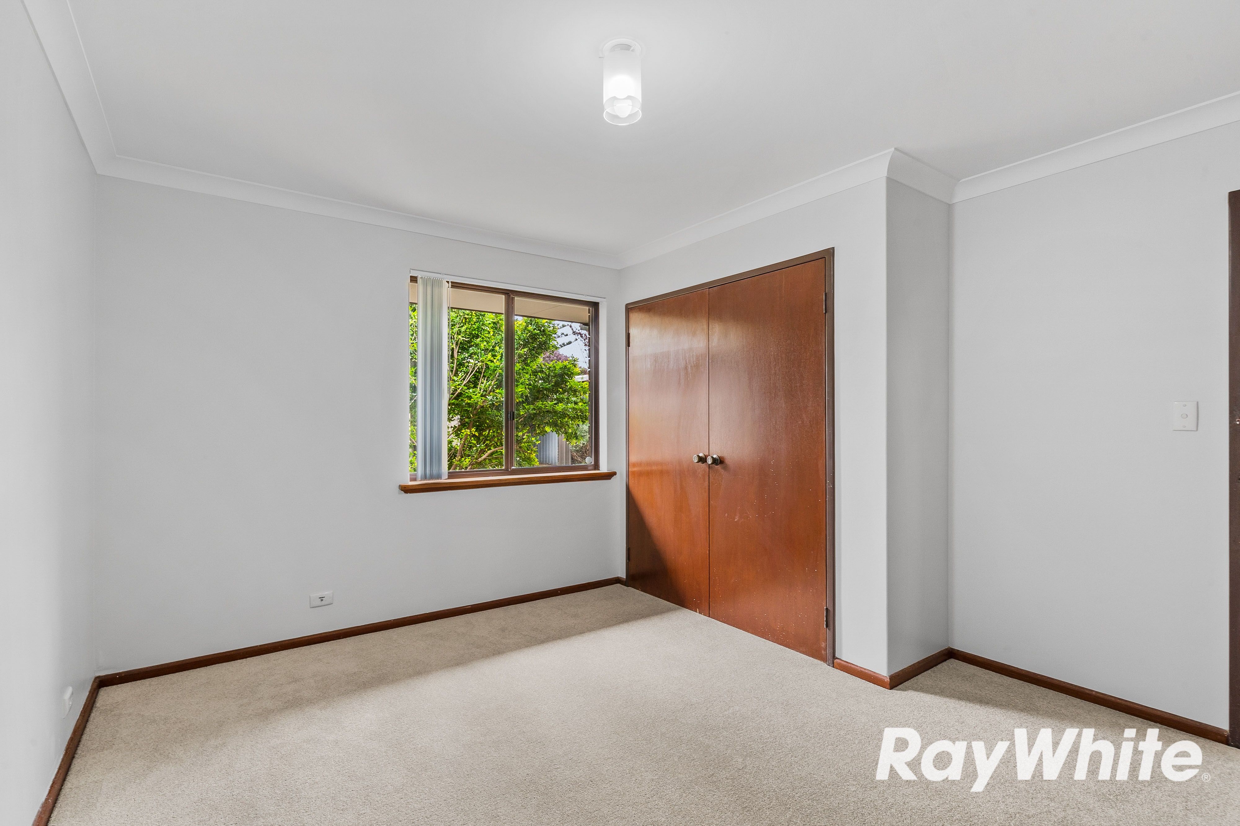 8A Cathryn Street — photo 7 of 23