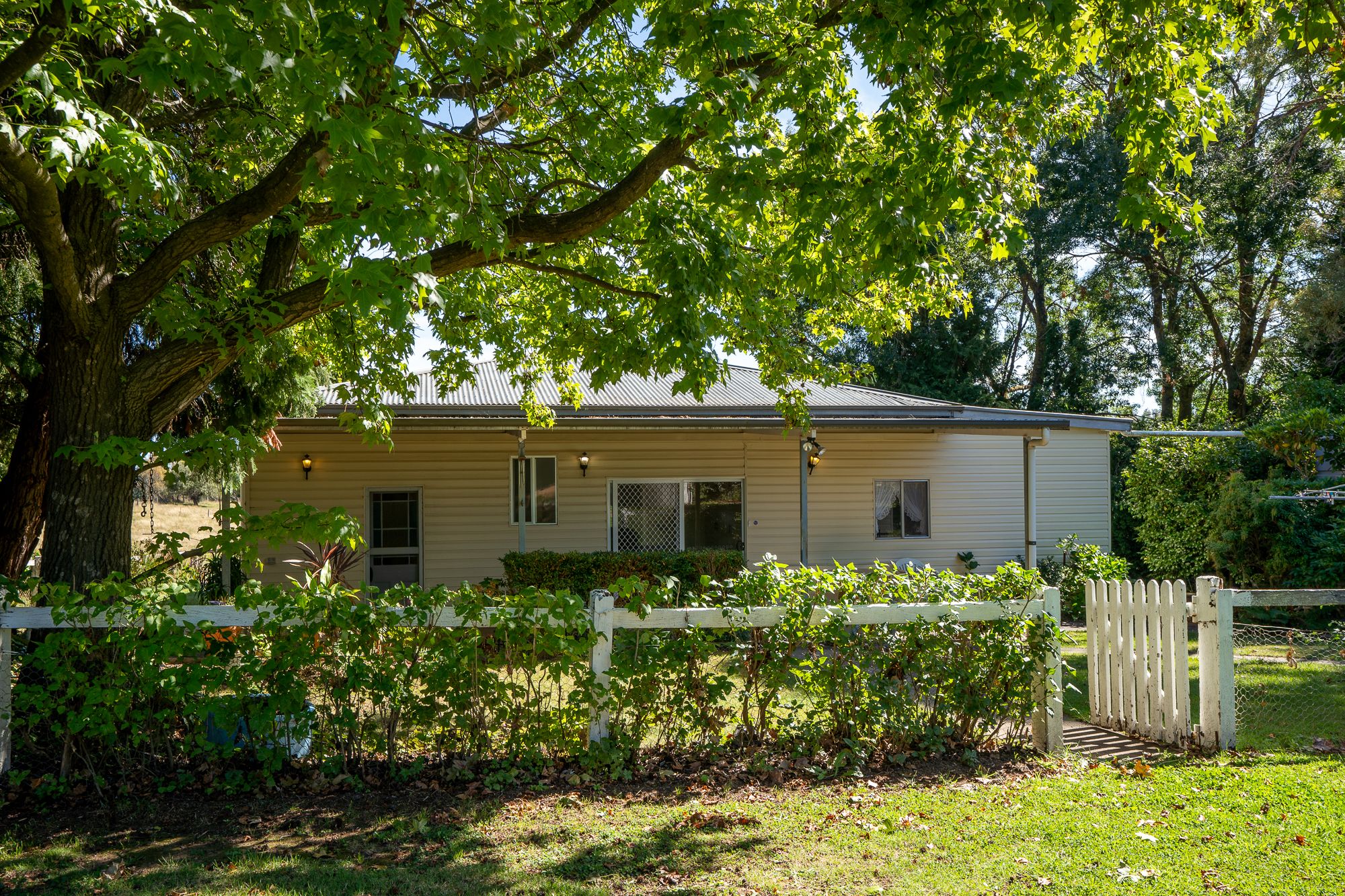 19 Carcoar Street , Neville NSW 2799