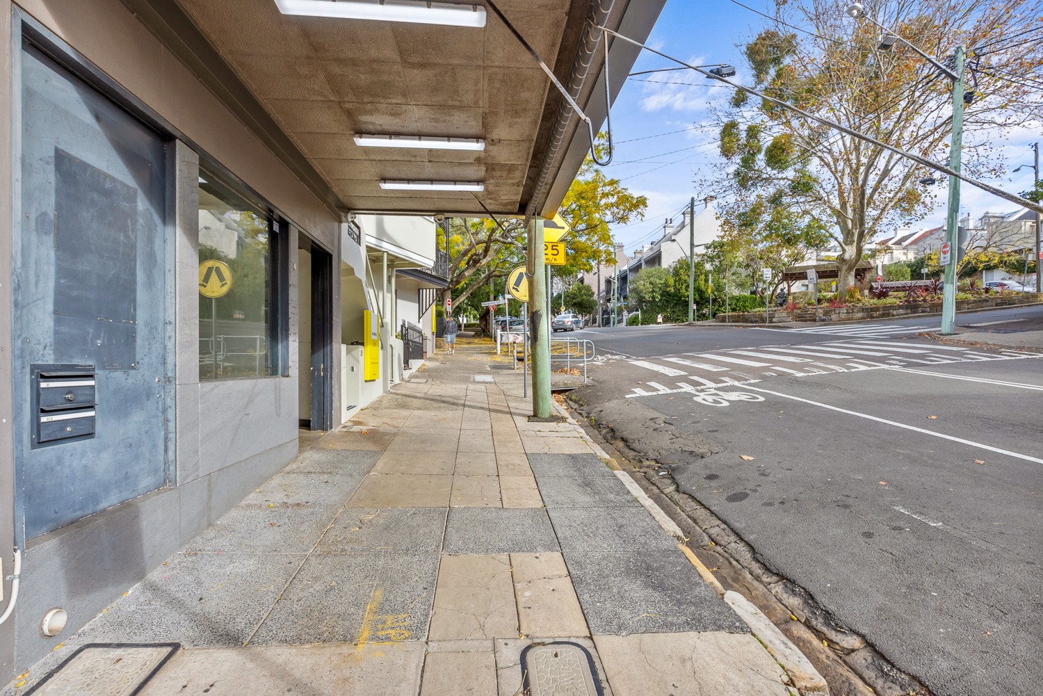 41 Cascade Street, Paddington, NSW 2021