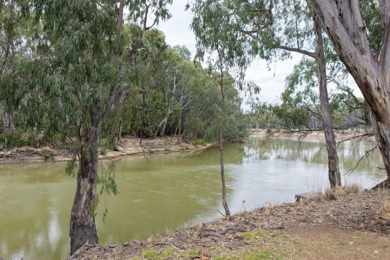 31 ARMSTRONG Drive, Barham, NSW 2732