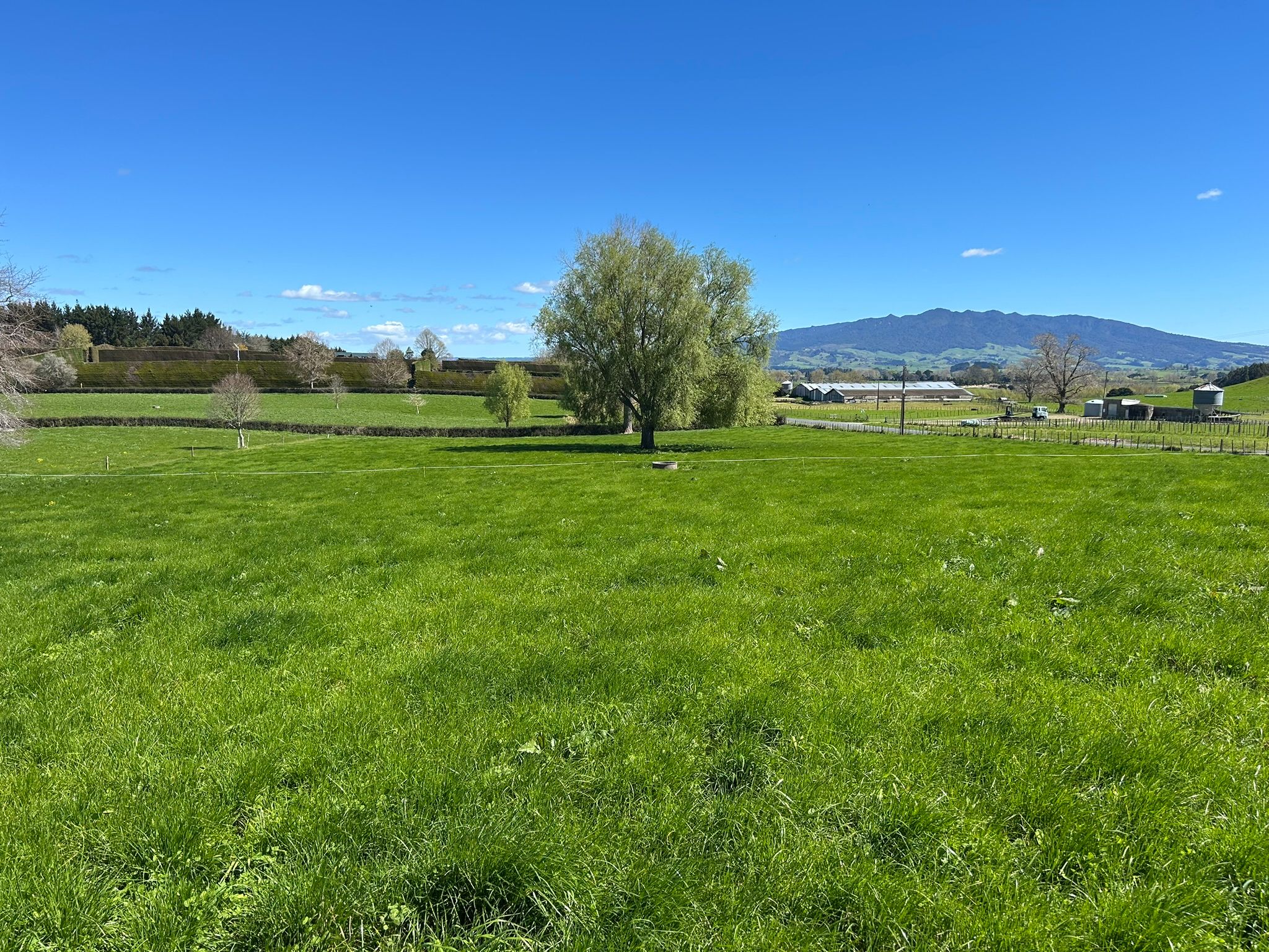 162 Bowman Road, Te Awamutu, Waipa District