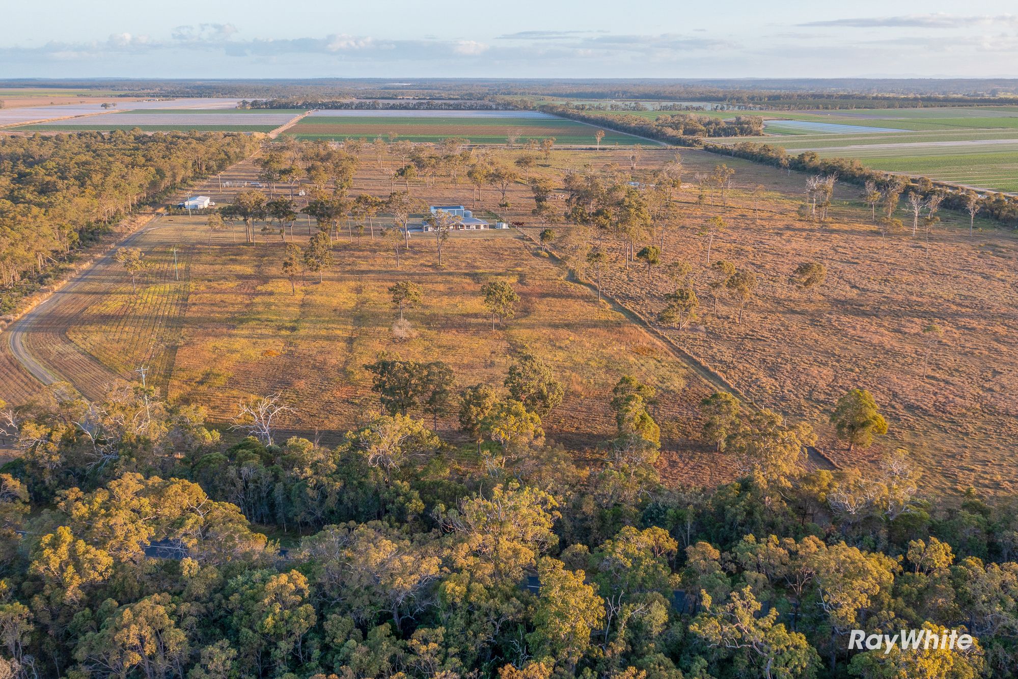 725 Booyan Road, Moorland, QLD 4670 Acreage/SemiRural for Sale Ray